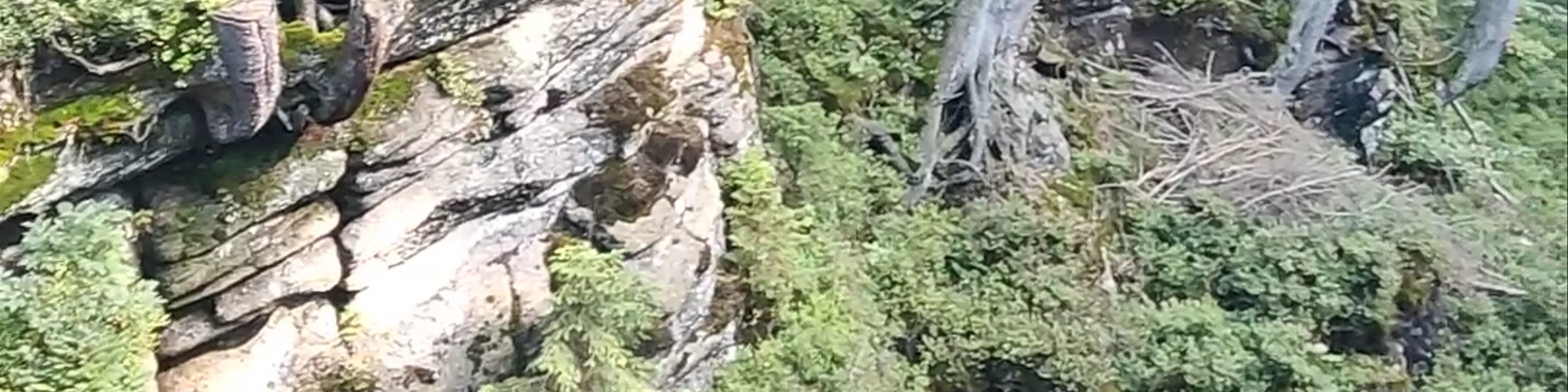 Kamieńczyk Waterfall