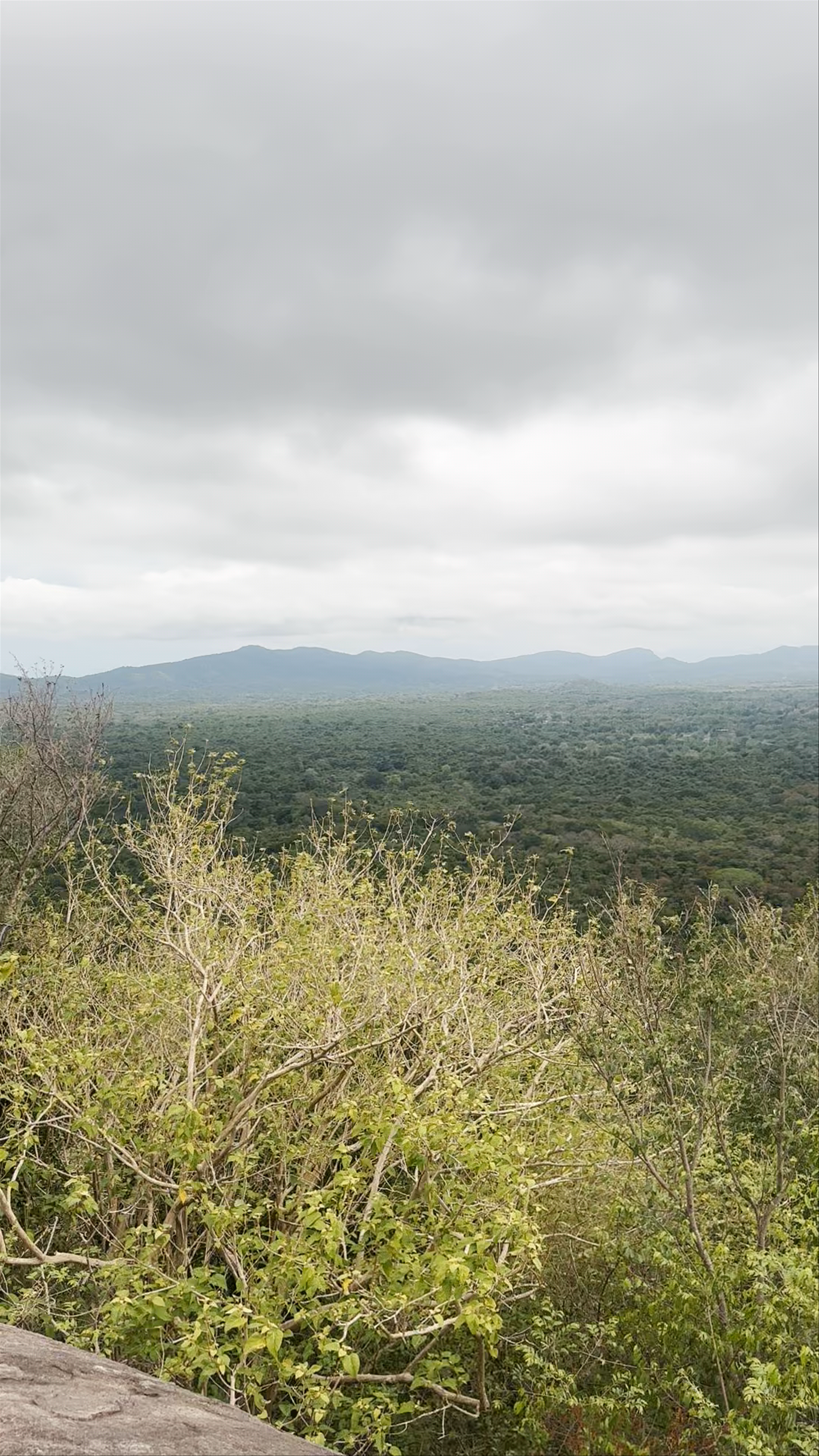 Pidurangala Rock