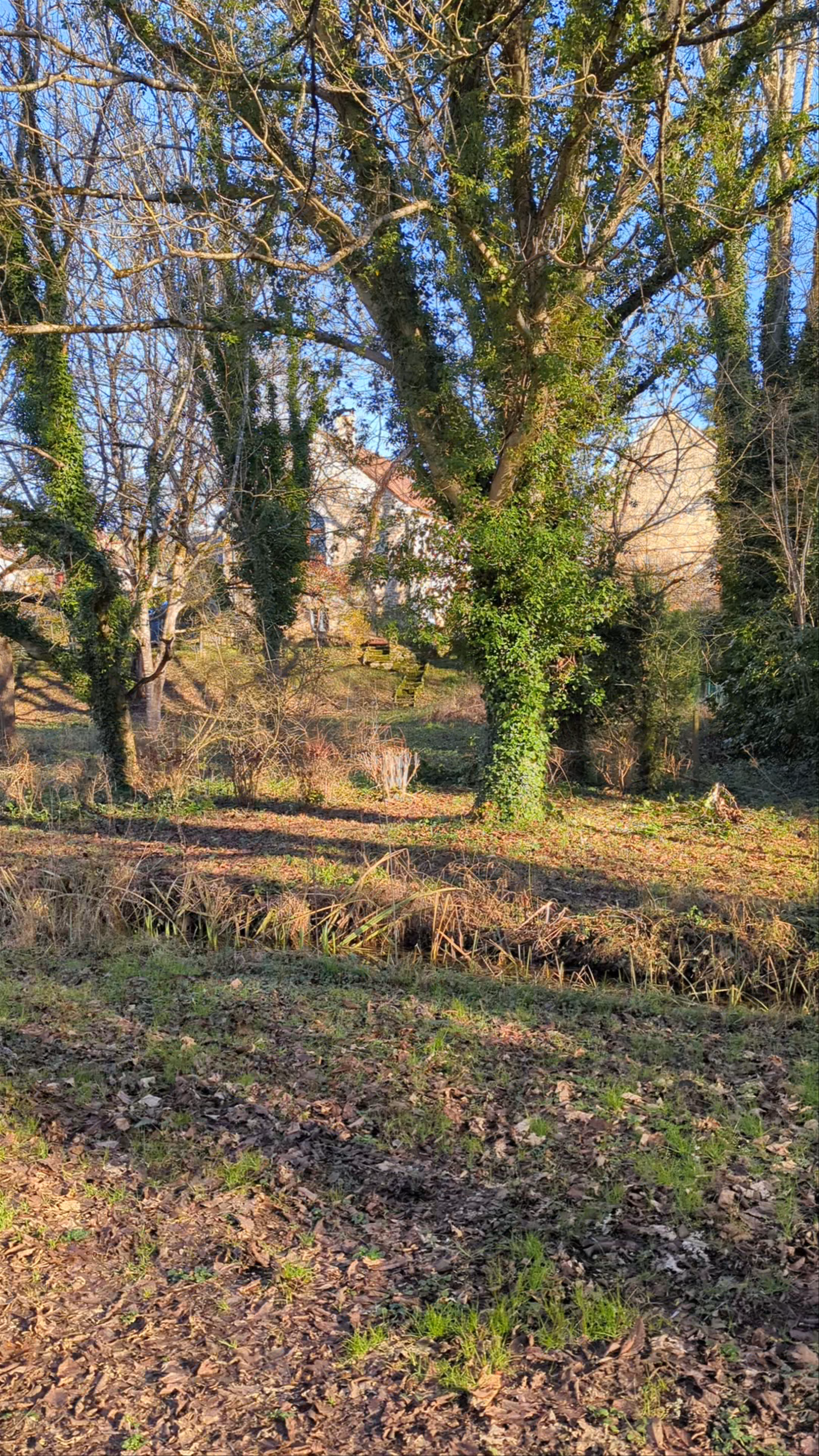 Winter Serenity at Les 7 Sources, Lamothe-Fénelon