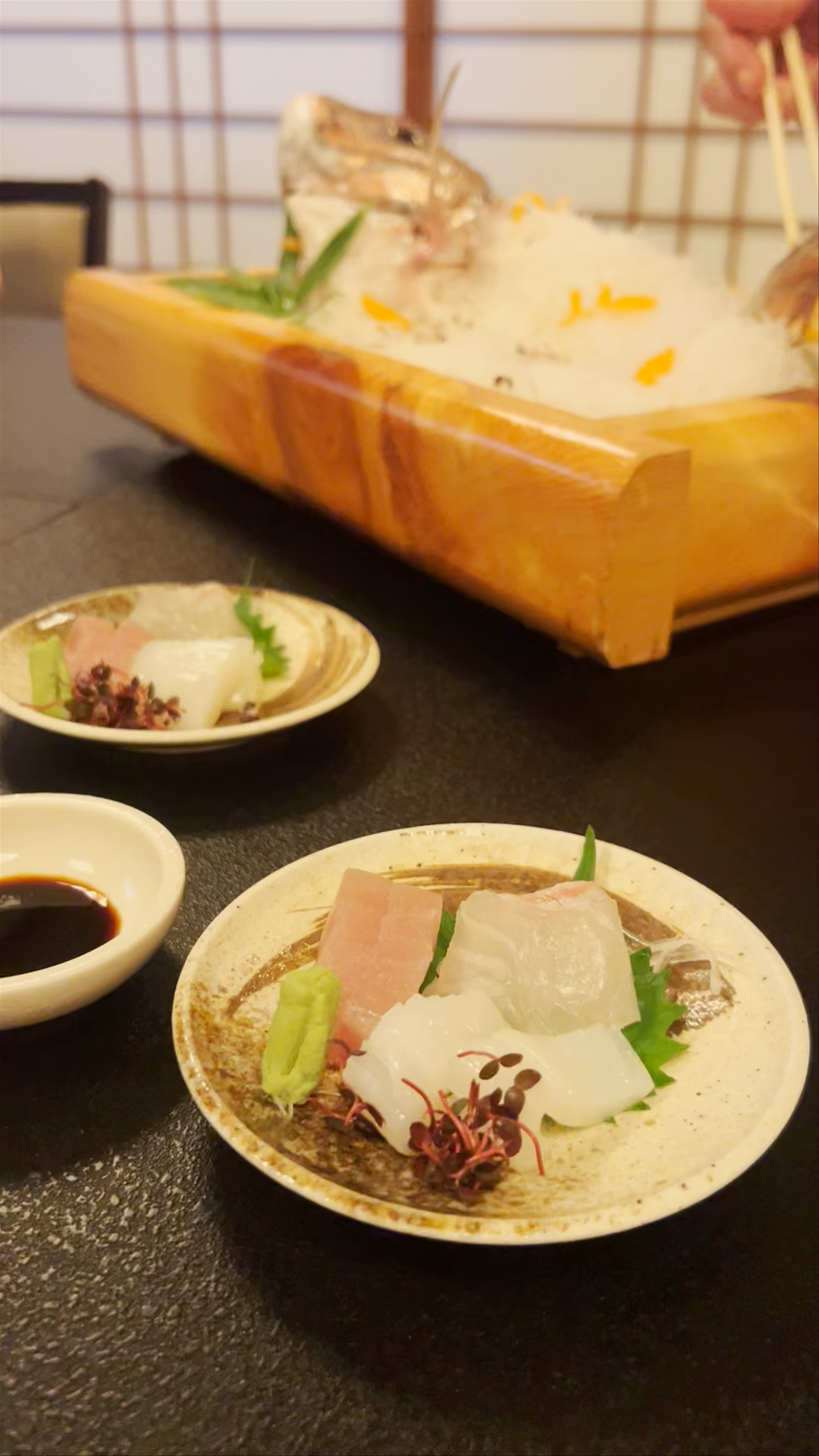 Exquisite Sashimi Experience in Osaka, Japan