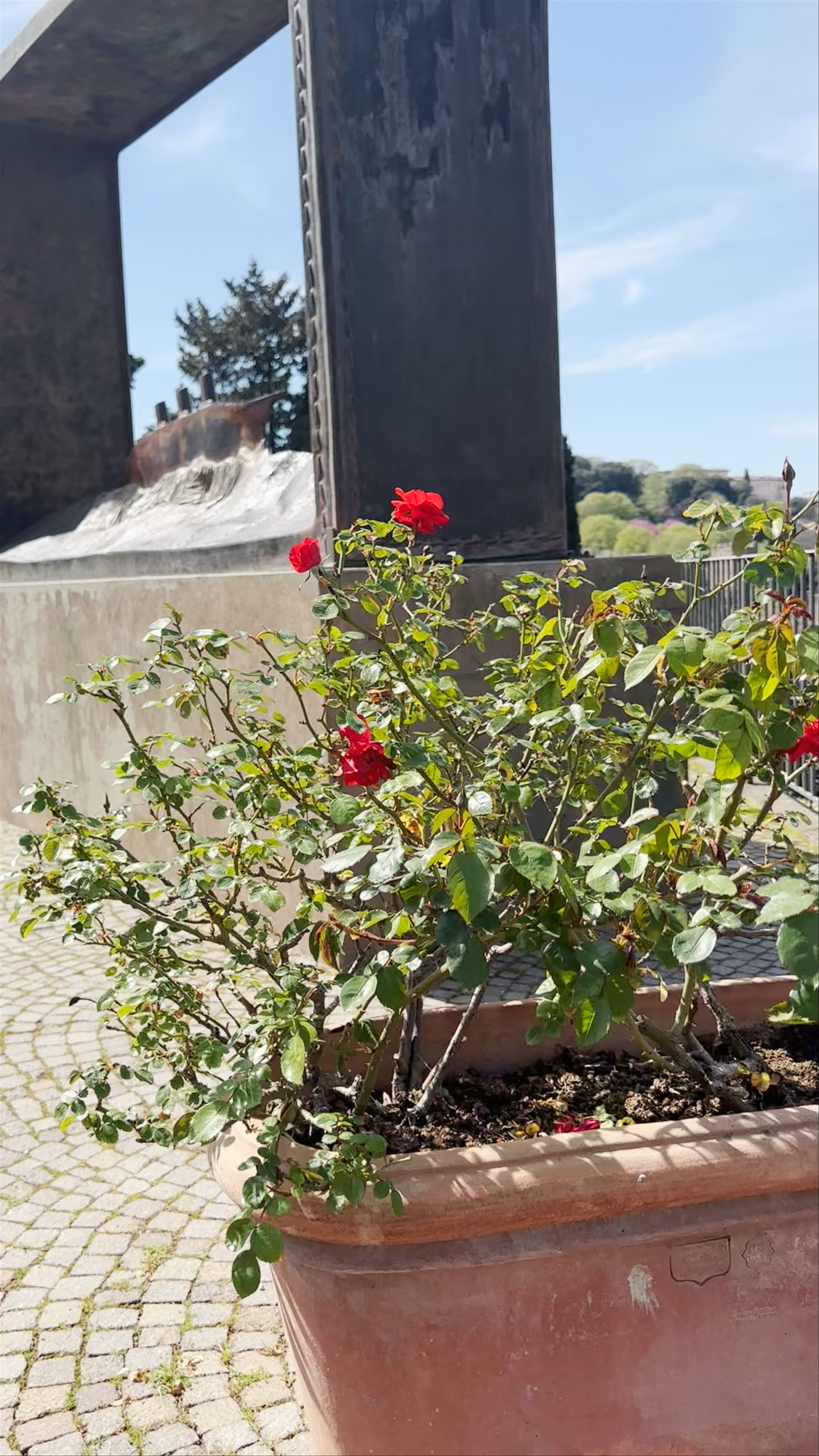 Giardino delle Rose