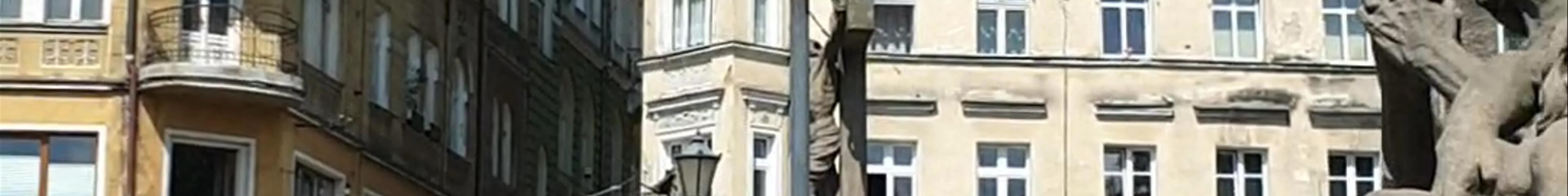 Tours & experiences in Dolnośląskie