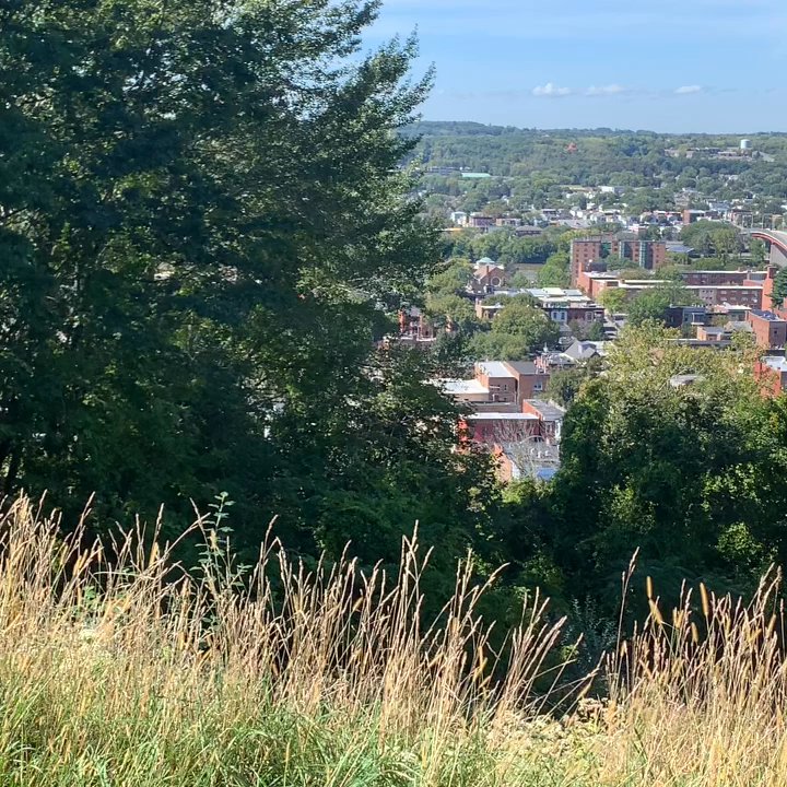 Prospect Park - View from the top of Prospect Part standing in Uncle Sam Memorial - Tennis Near Me - Troy, New York