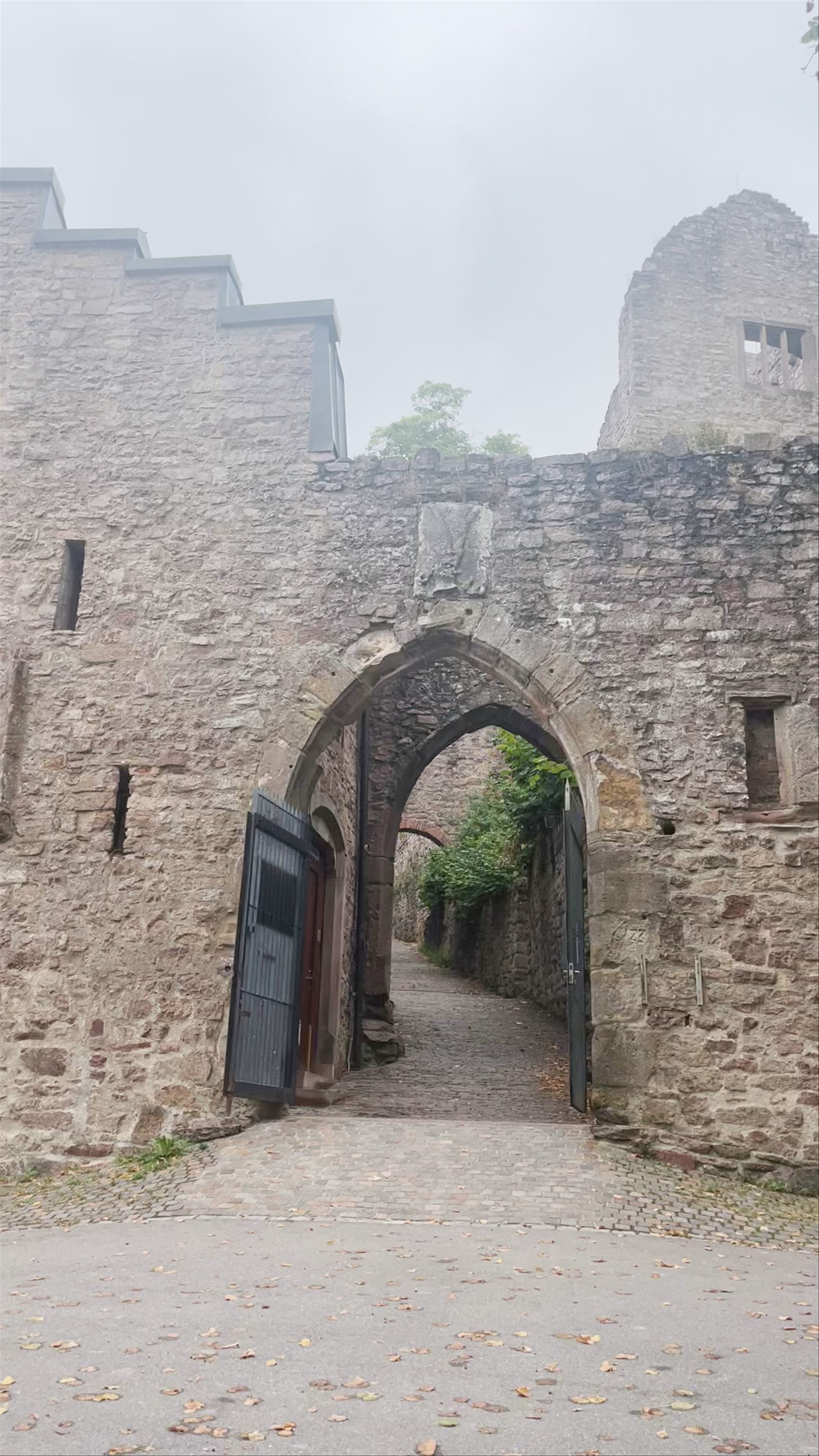 Altes Schloß zu Hohenbaden