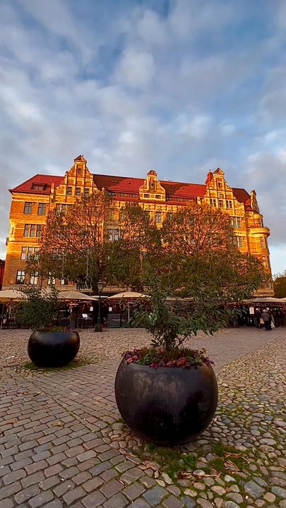 Lilla Torg - Local Flavor Near Me - Malmö, M