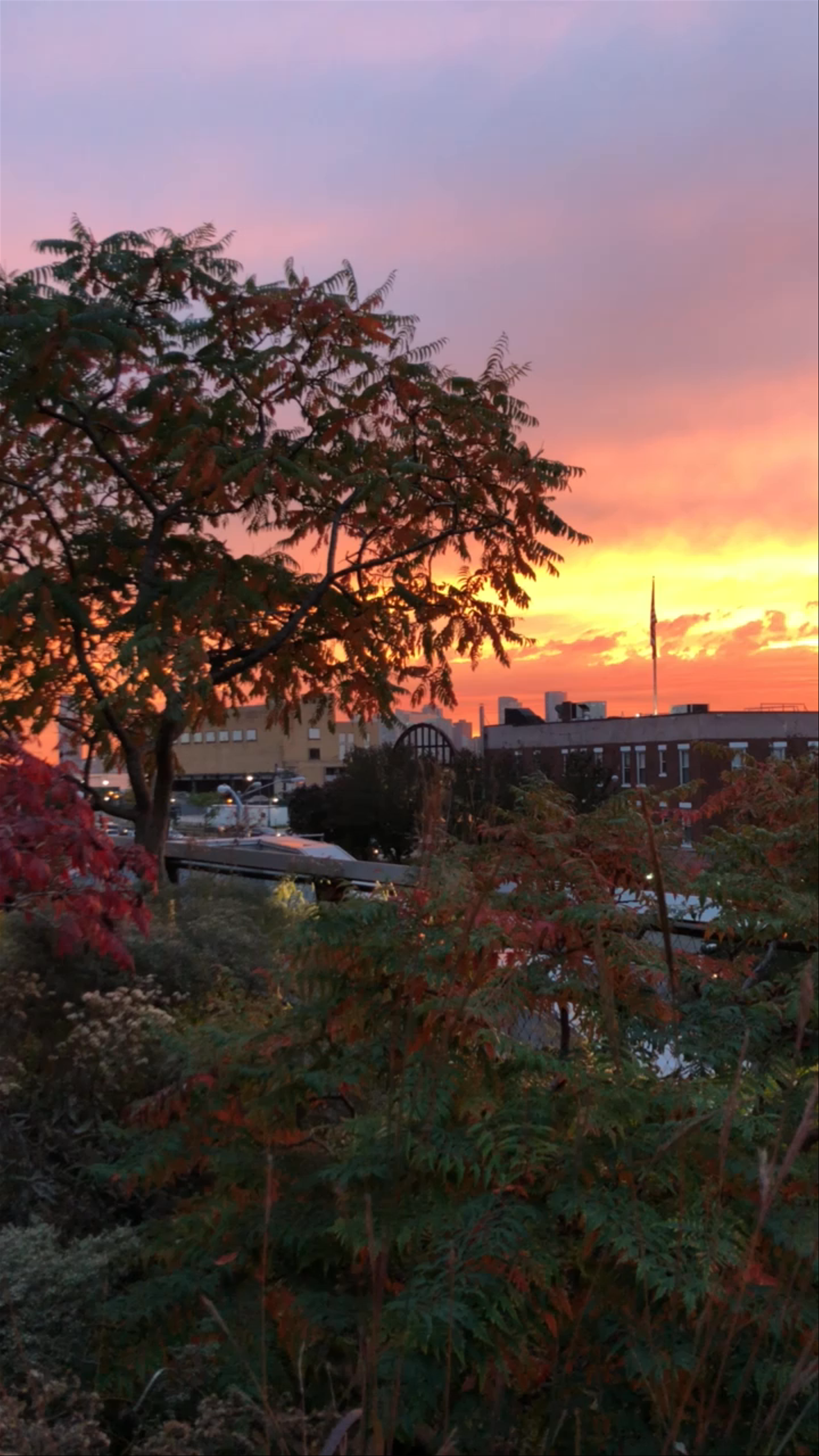 Sunset at the High Line: Urban Oasis in New York City