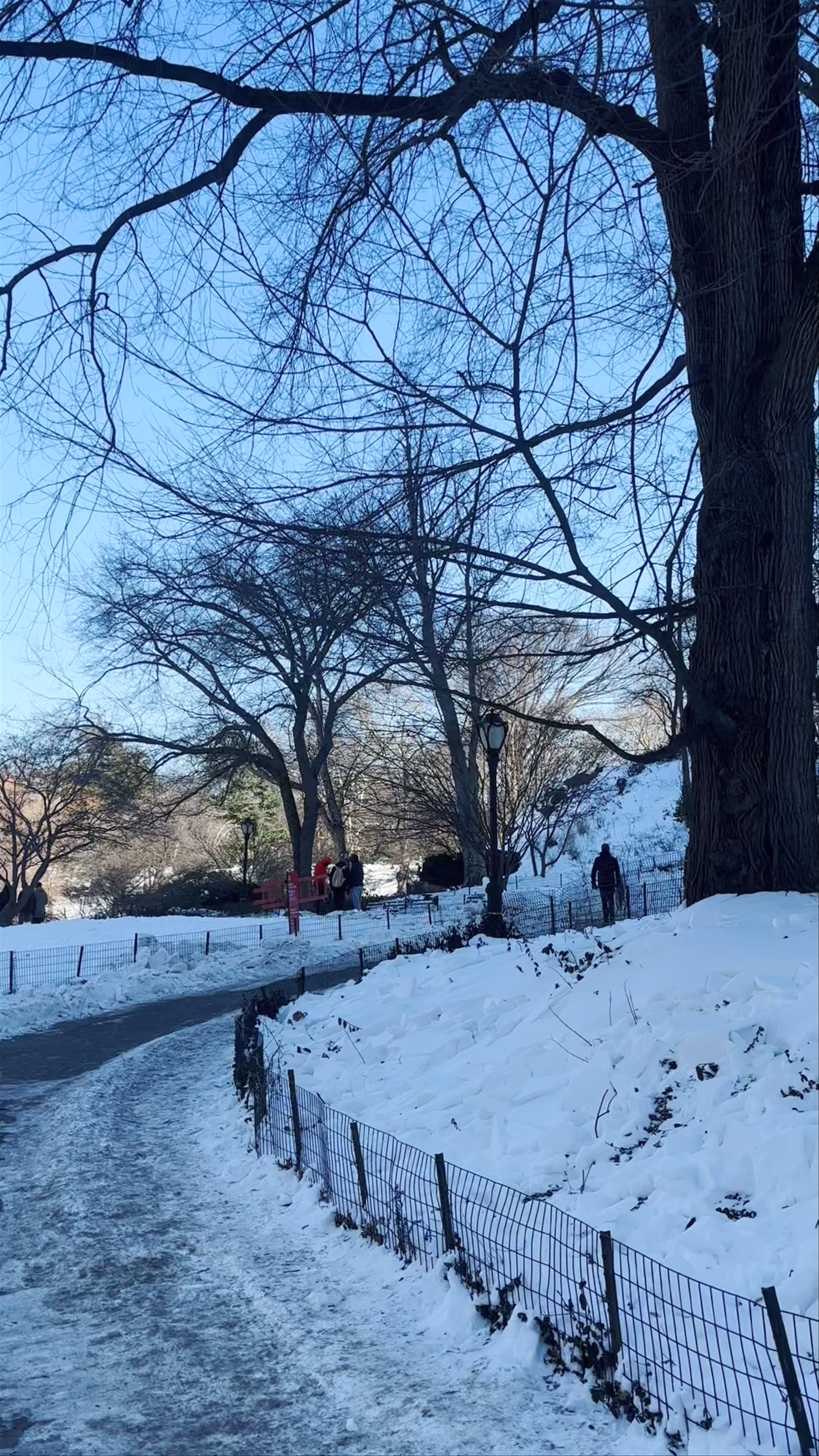 Harlem Meer