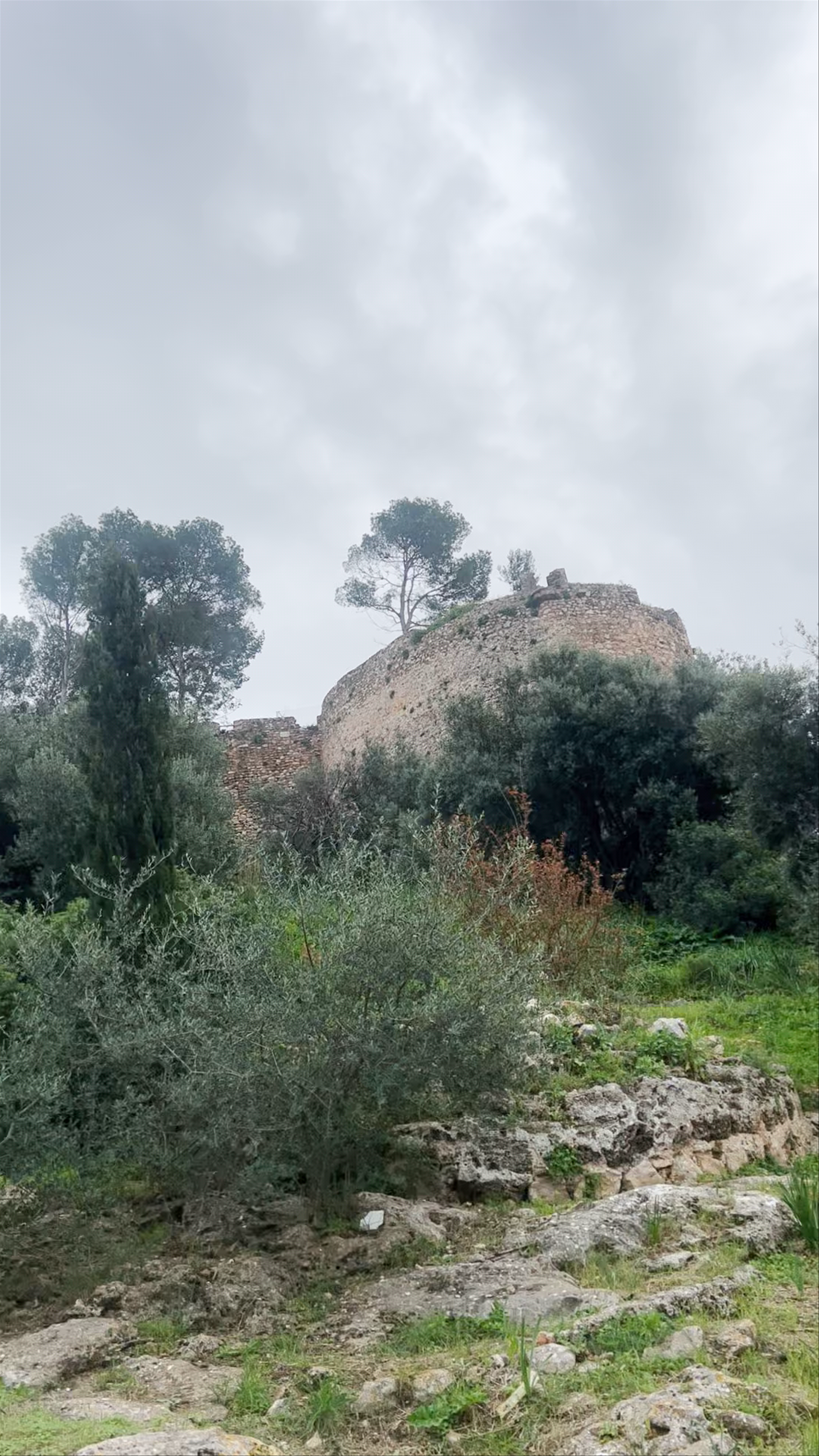 Castillo de Denia