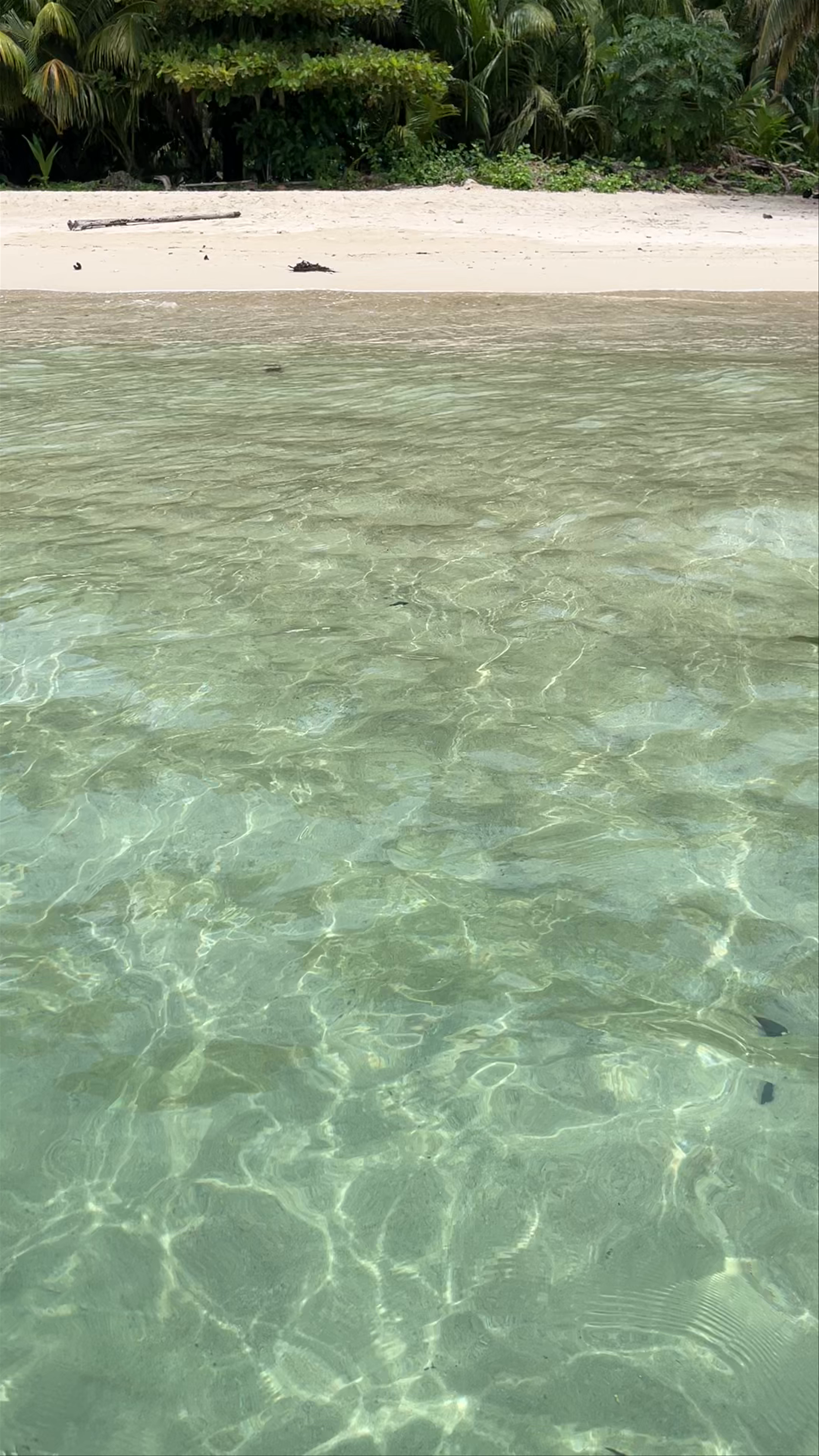 Cayo Zapatilla