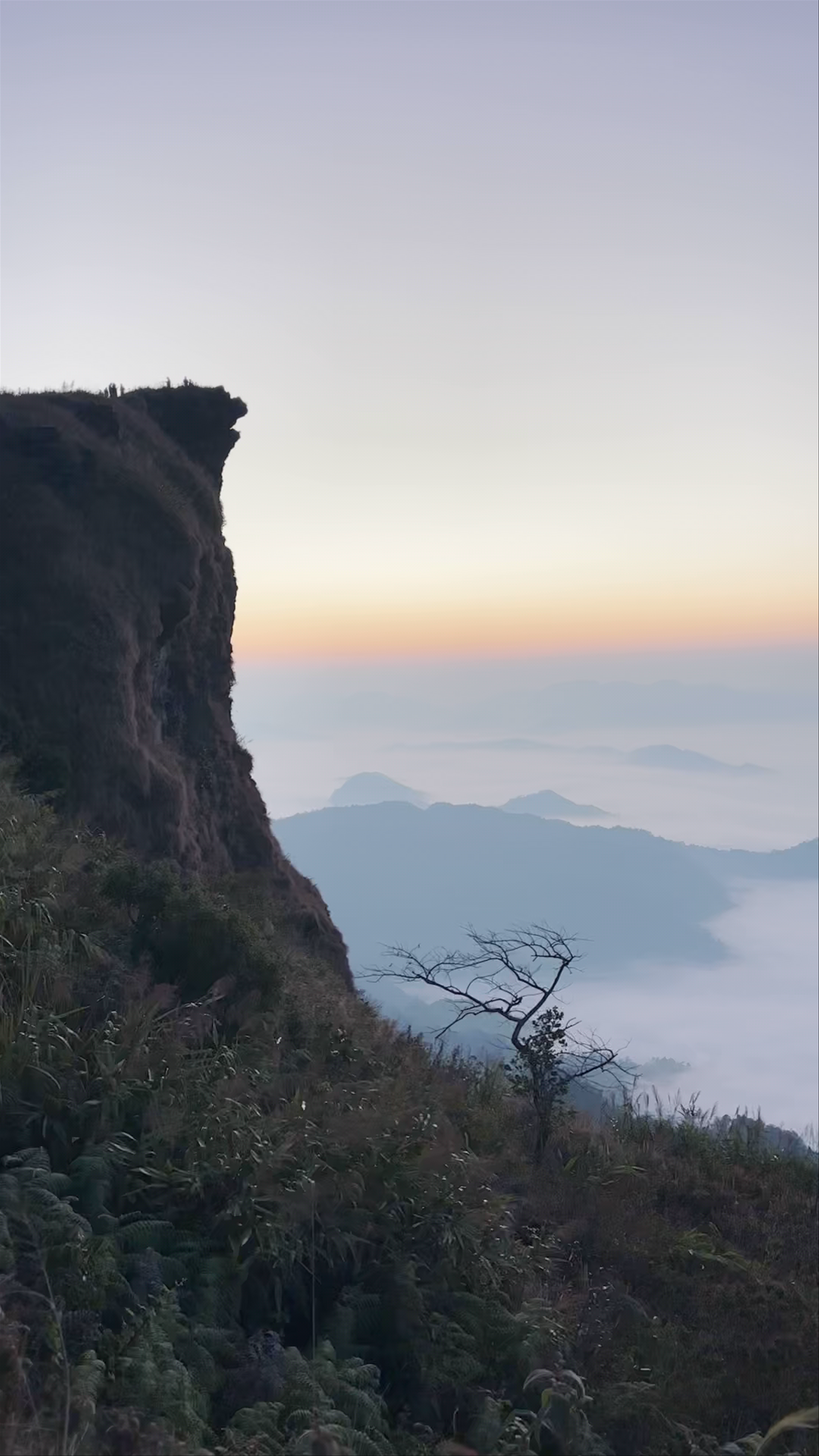 Phu Chi Fa New