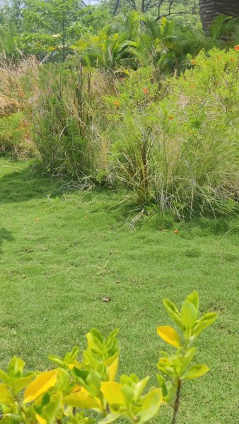 Photo of Dino Trail in SoU by