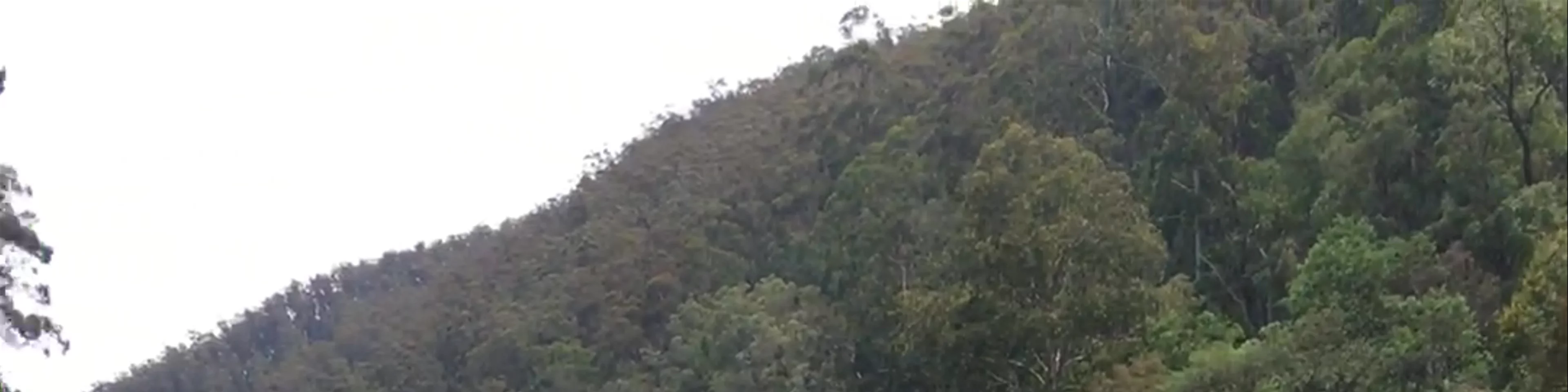 Walhalla Goldfields Railway