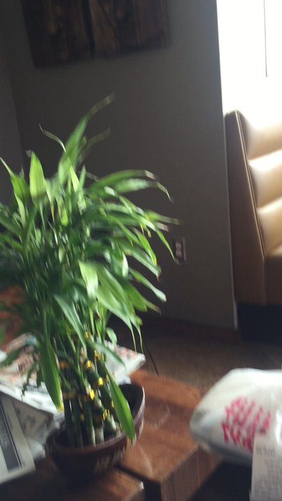 Thai Dishes Restaurant - Thai Near Me - Westchester, California