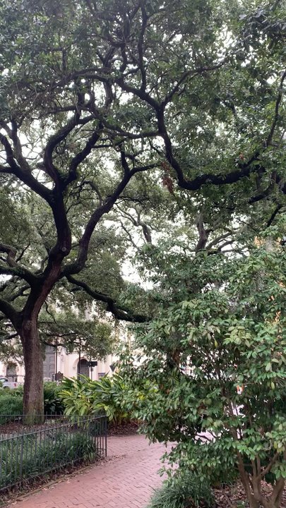 Wright Square - Parks Near Me - Savannah, Georgia