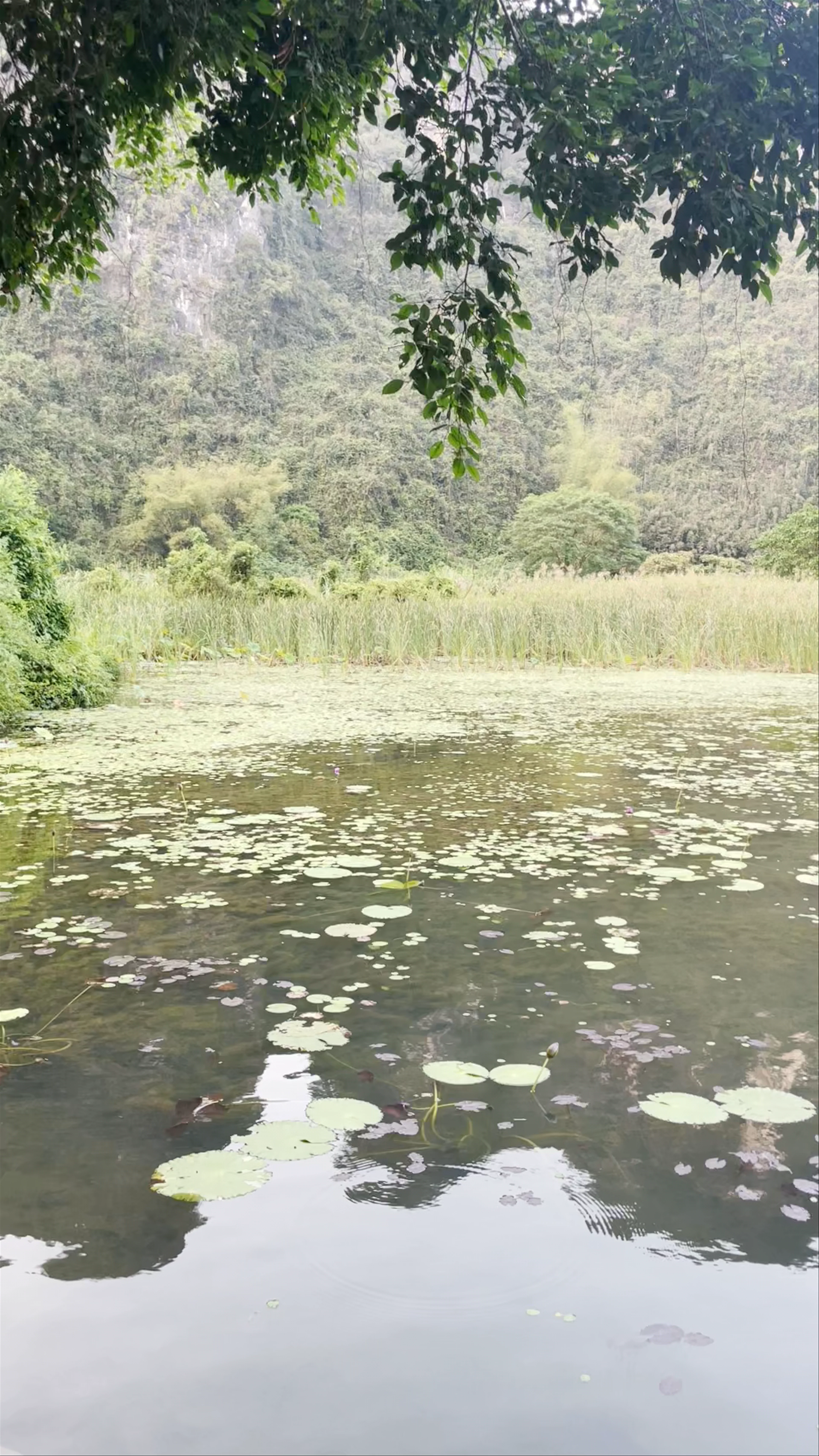 Nam Hoa Lu
