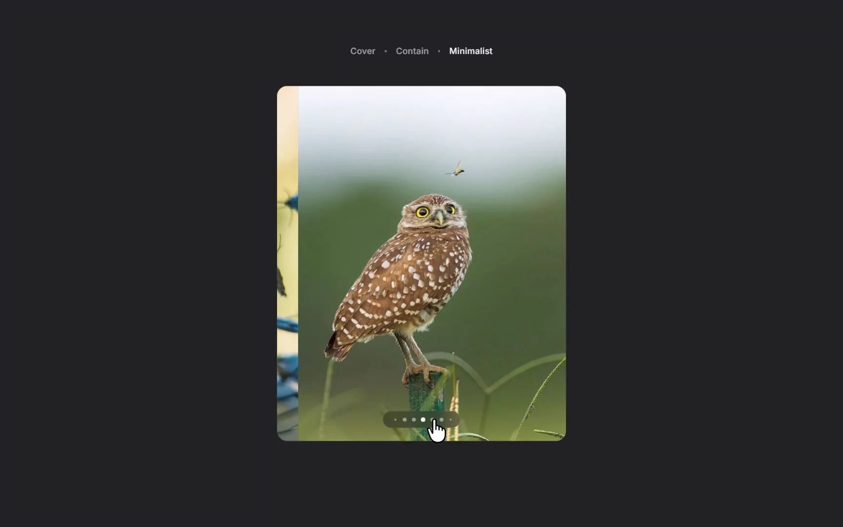 I needed a dead simple slideshow, took cues from the one on Reddit, so I built it as a component. Simple and it just works ✨