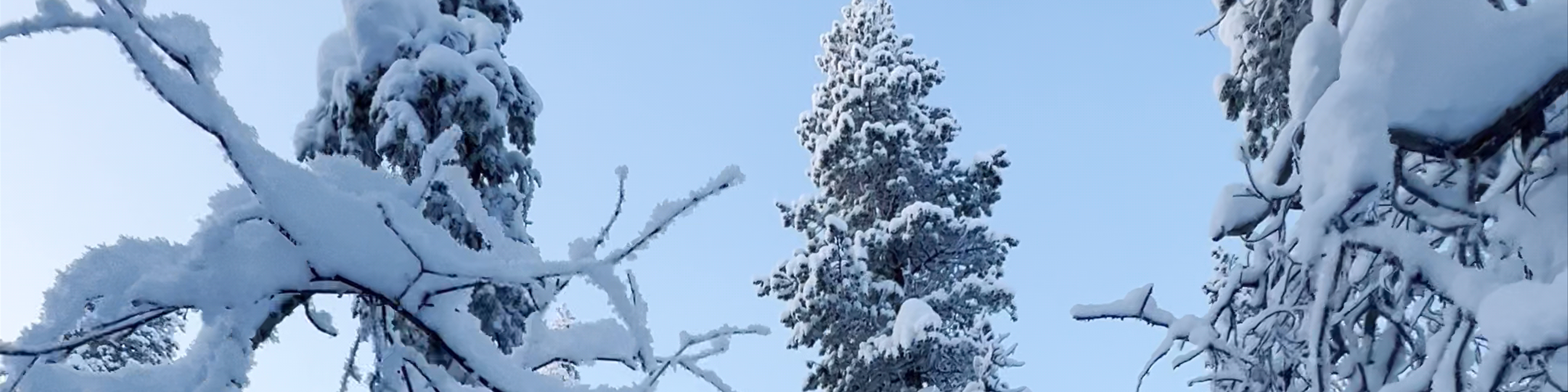 Finland