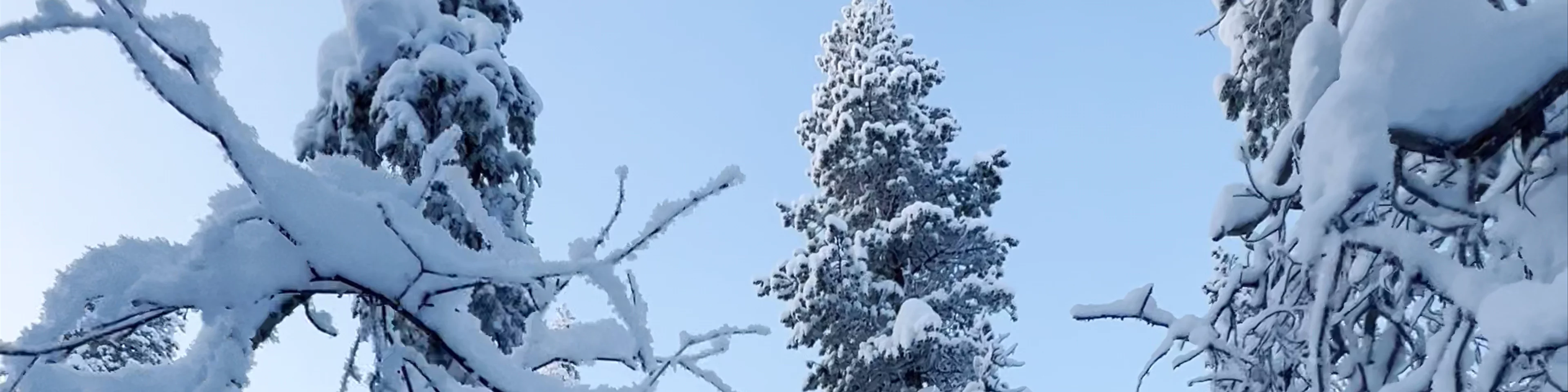 Kuertunturi