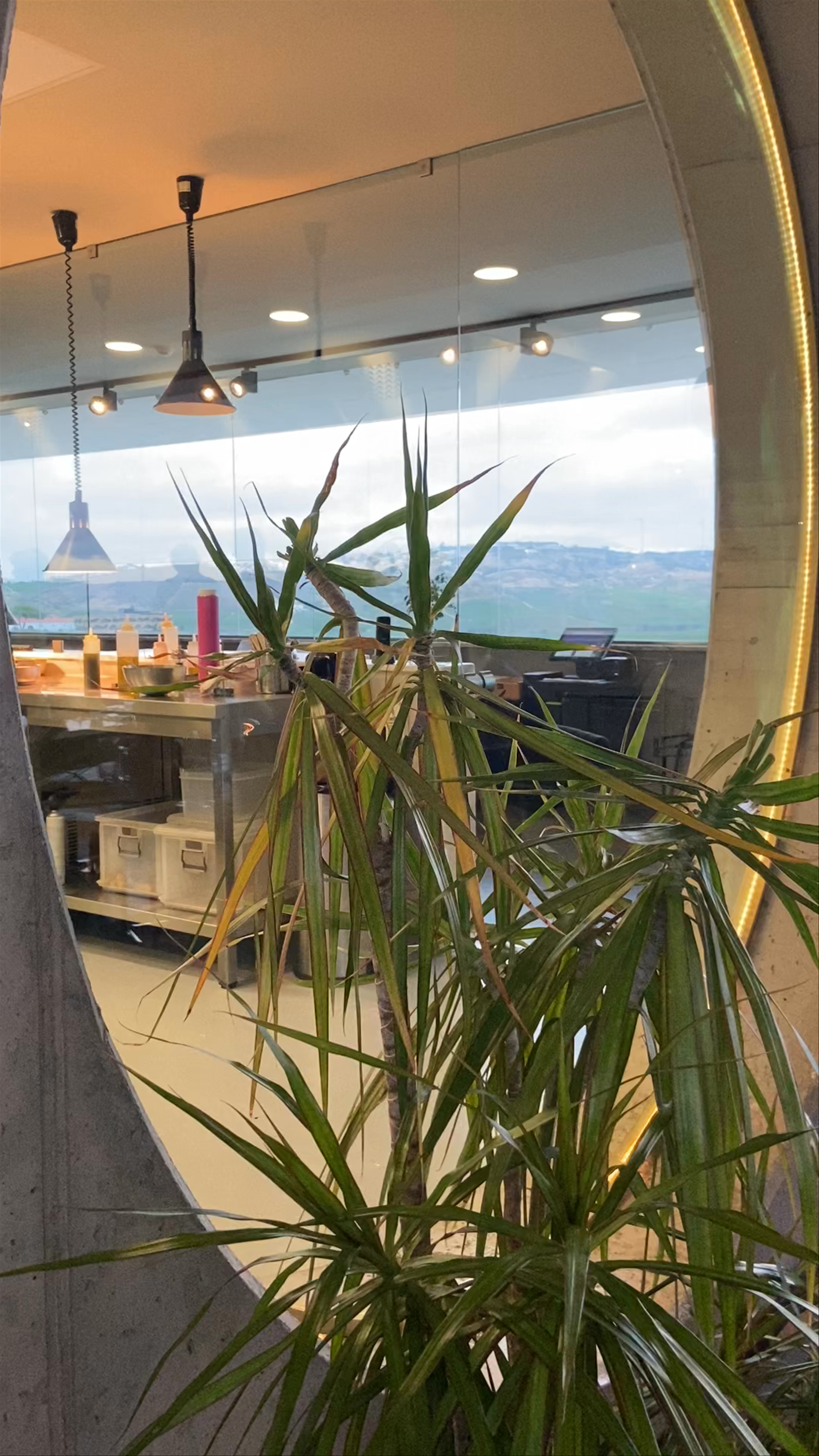 AdegaMãe Sociedade Agrícola