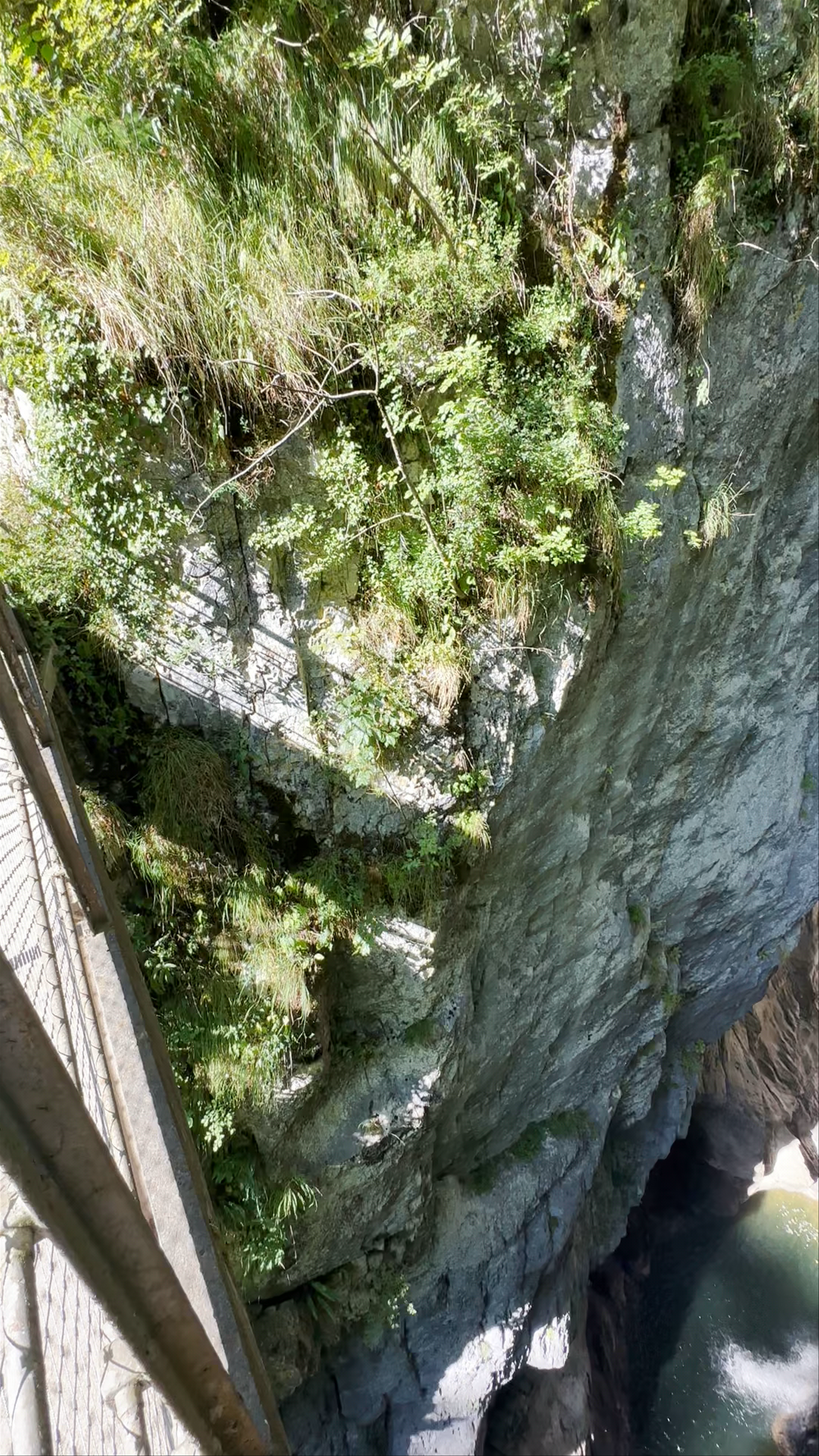 Regijski park Škocjanske jame