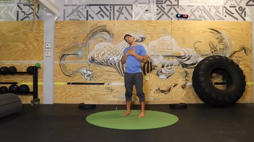 Episode 3 // Free Mover Primal Fitness