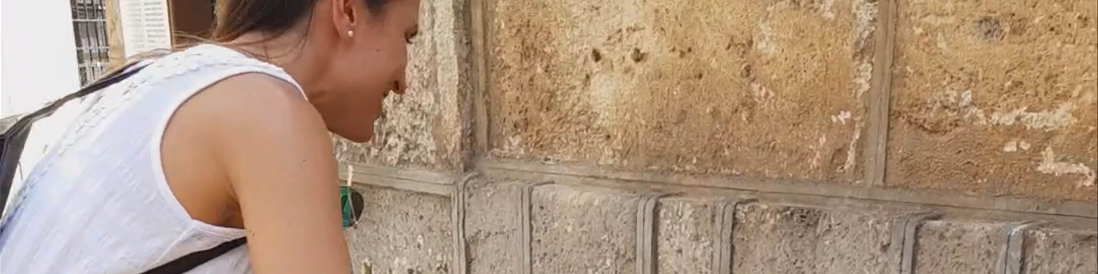 Fuente de los Doce Caños