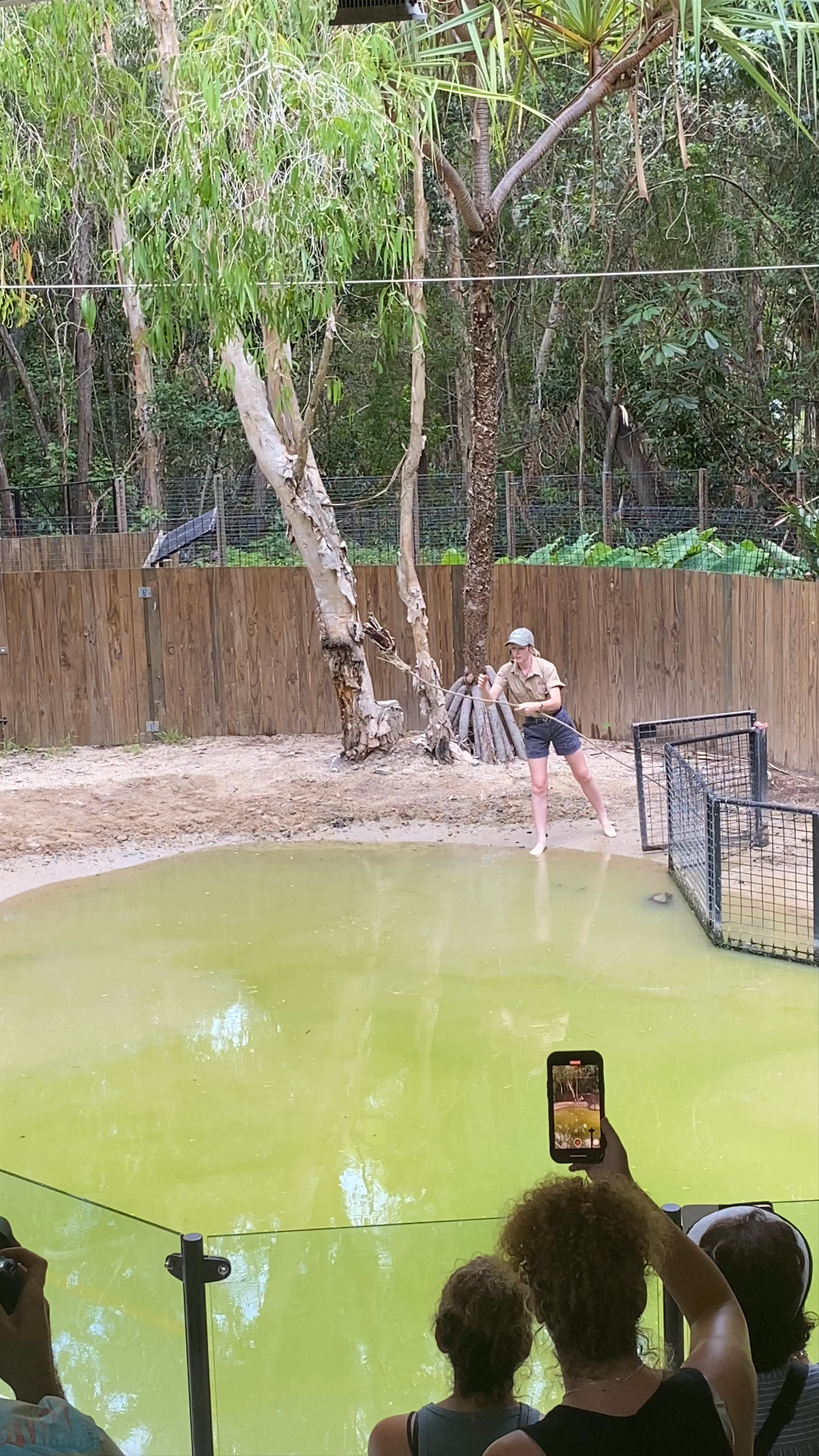 Hartley's Crocodile Adventures