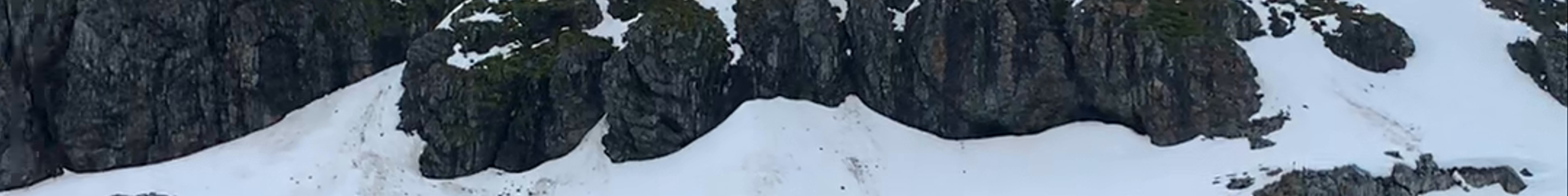 Tours & experiences in Greater Antarctica