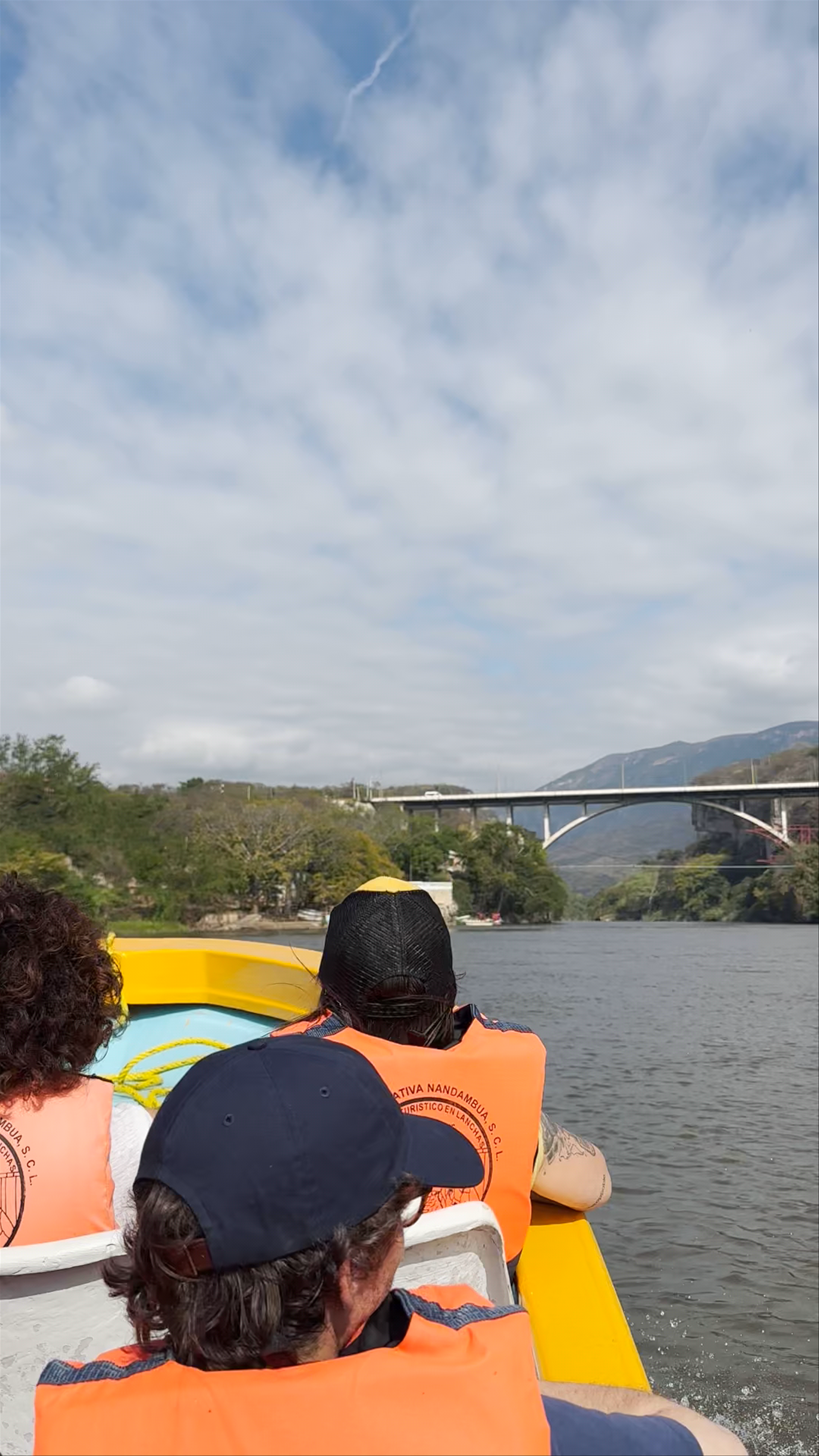 Puente Dr. Belisario Domínguez