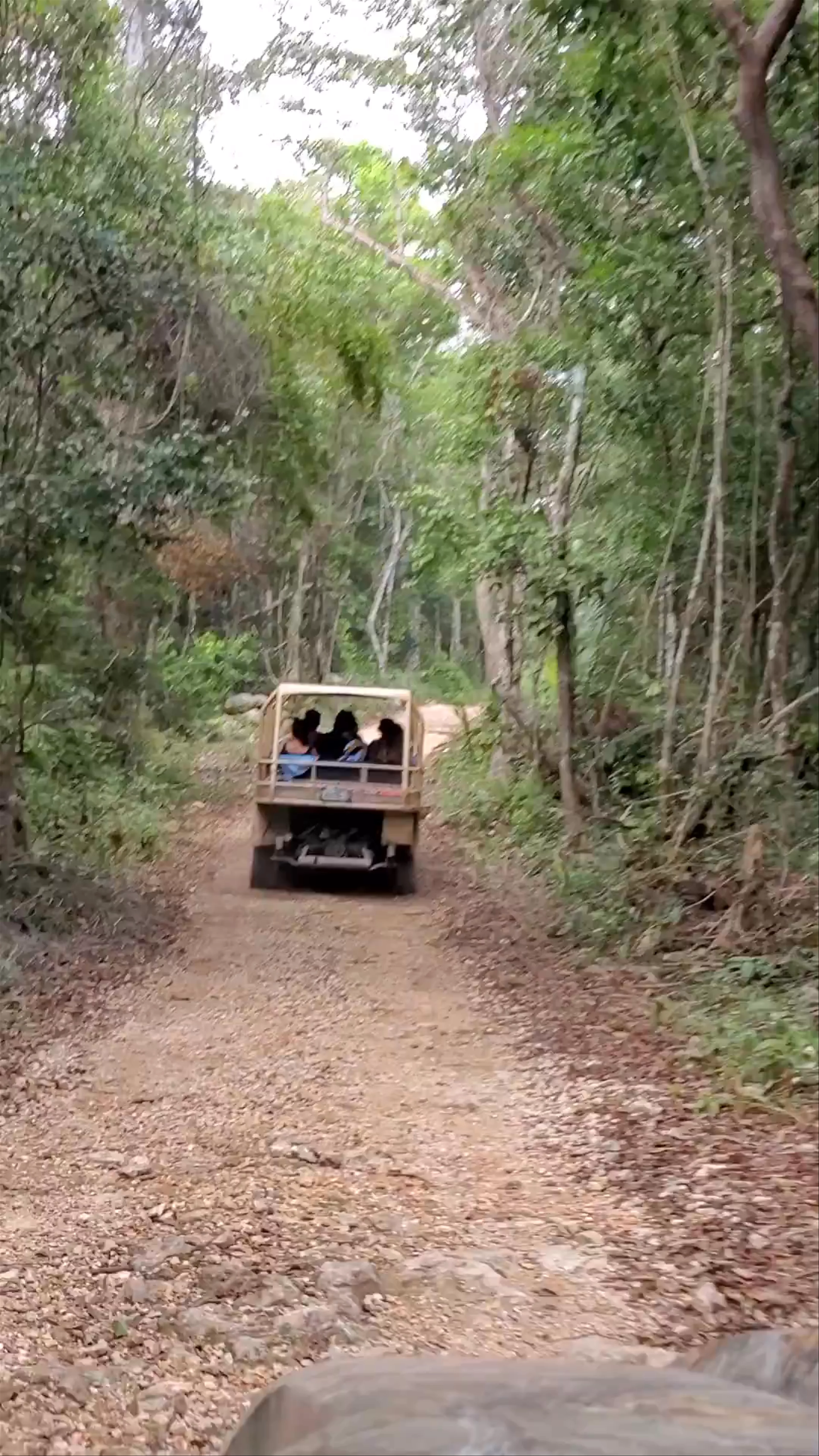 Selva Maya Eco Adventure