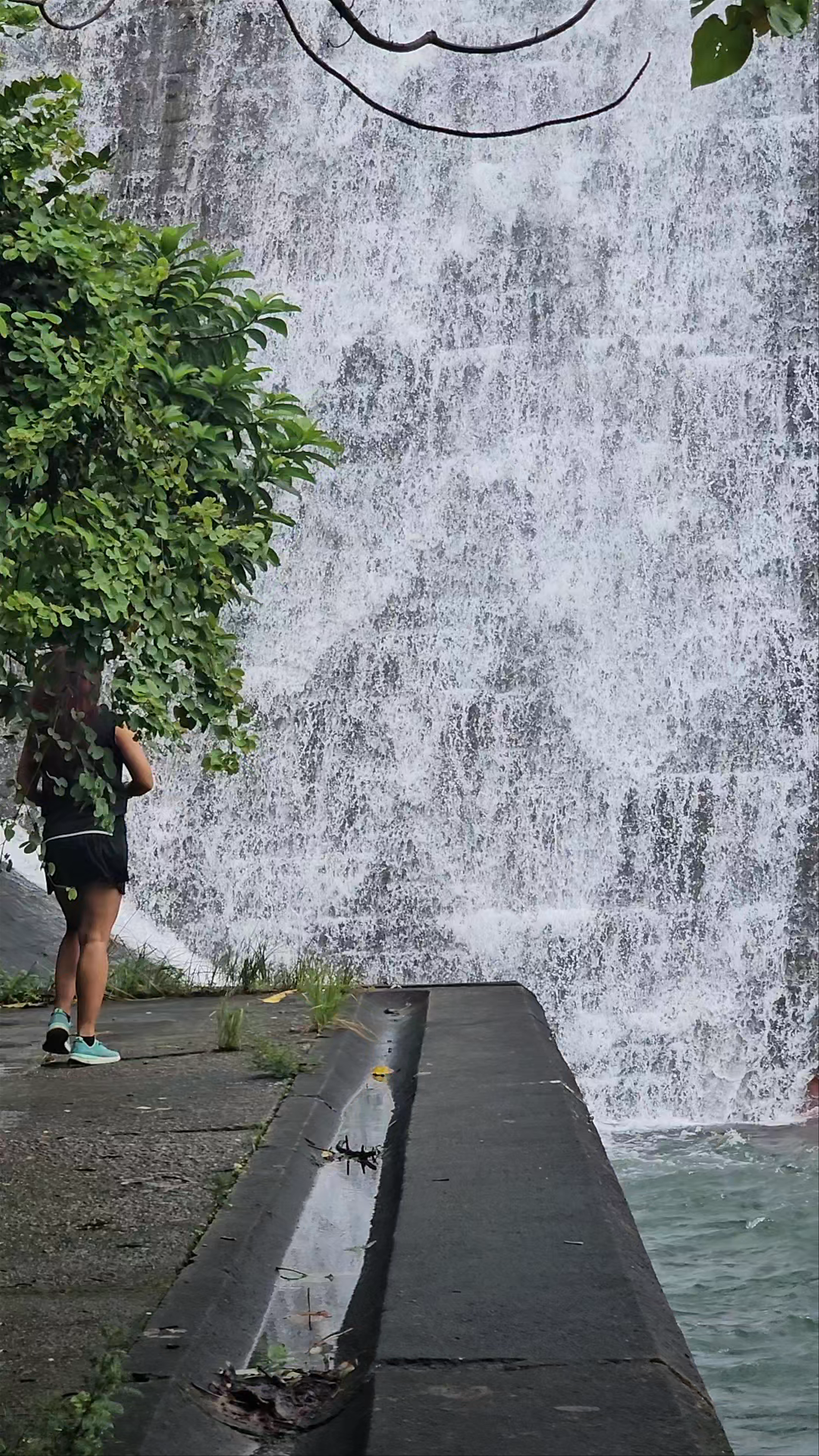 Tai Tam Reservoir Waterfall Escape: Nature's Soothing Power in Hong Kong