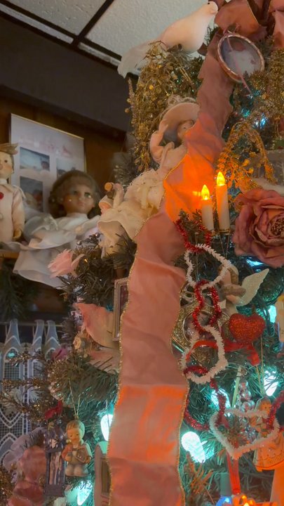 Sebastian's Schnitzelhaus - Festive . - German Near Me - Wrightstown, New Jersey