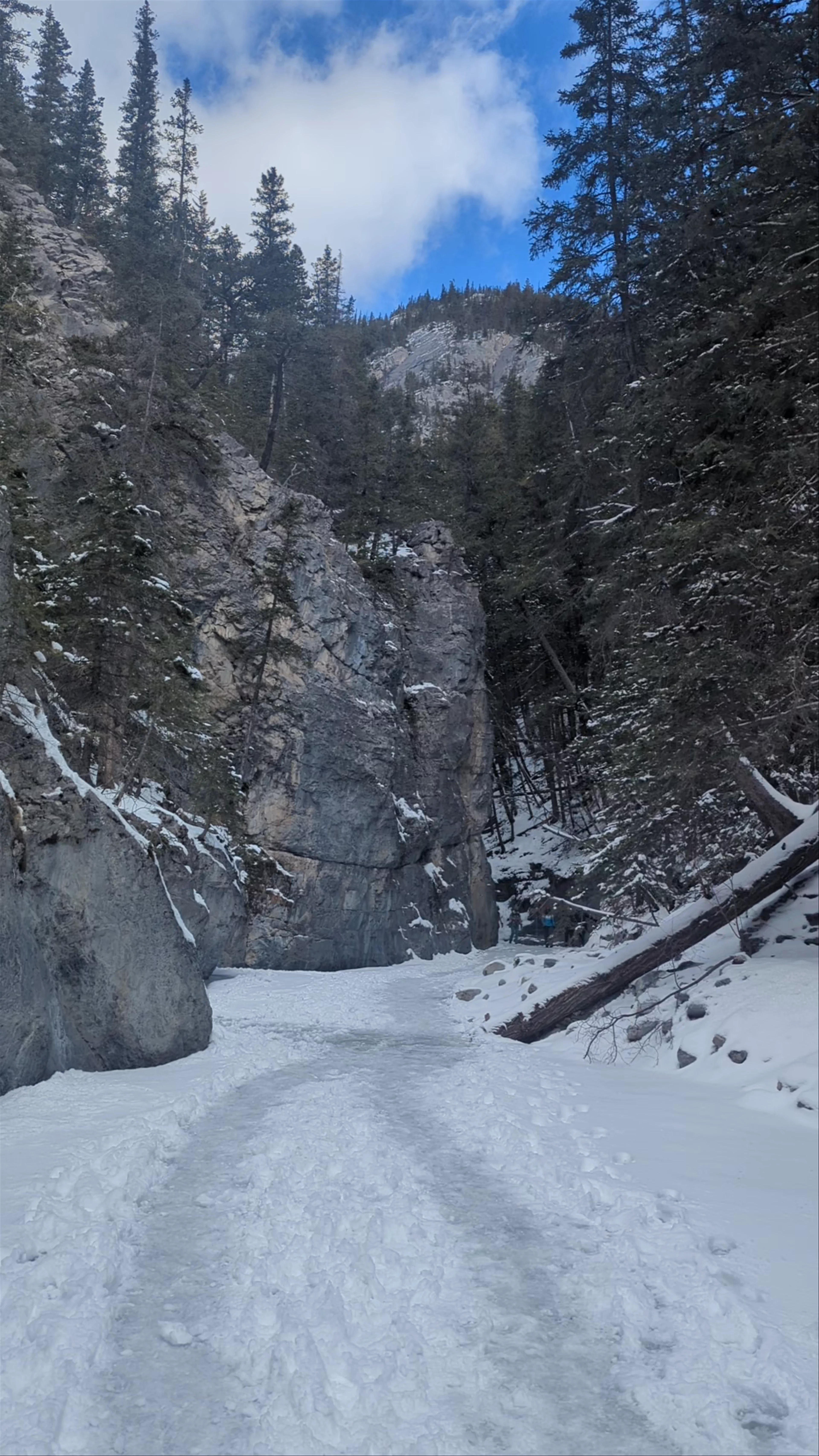 Grotto Canyon Trail Head