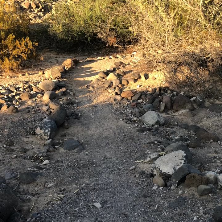 Pittman Wash Trail - Hiking Near Me - Henderson, Nevada