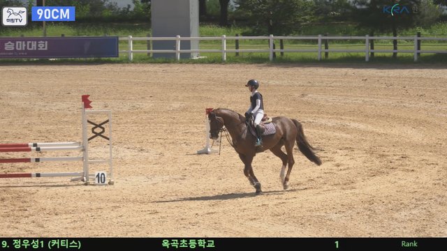 정우성1 (커티스) — 제20회 농림축산식품부장관배 승마대회 · 장애물 90cm