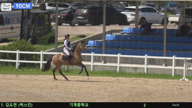 김도연9 (벅스킨) — 제20회 농림축산식품부장관배 승마대회 · 장애물 90cm