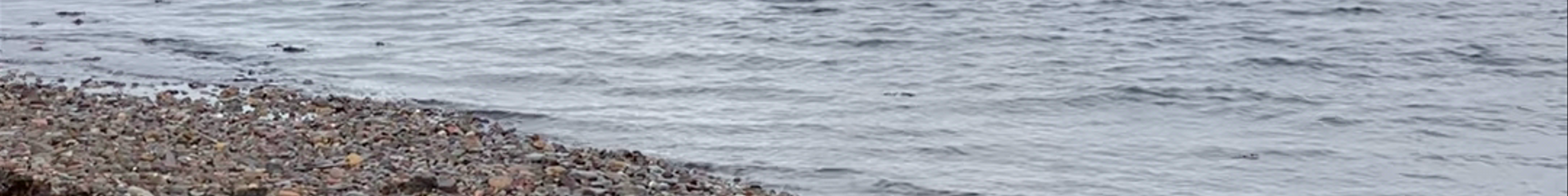 Tours & experiences in Kyle of Lochalsh