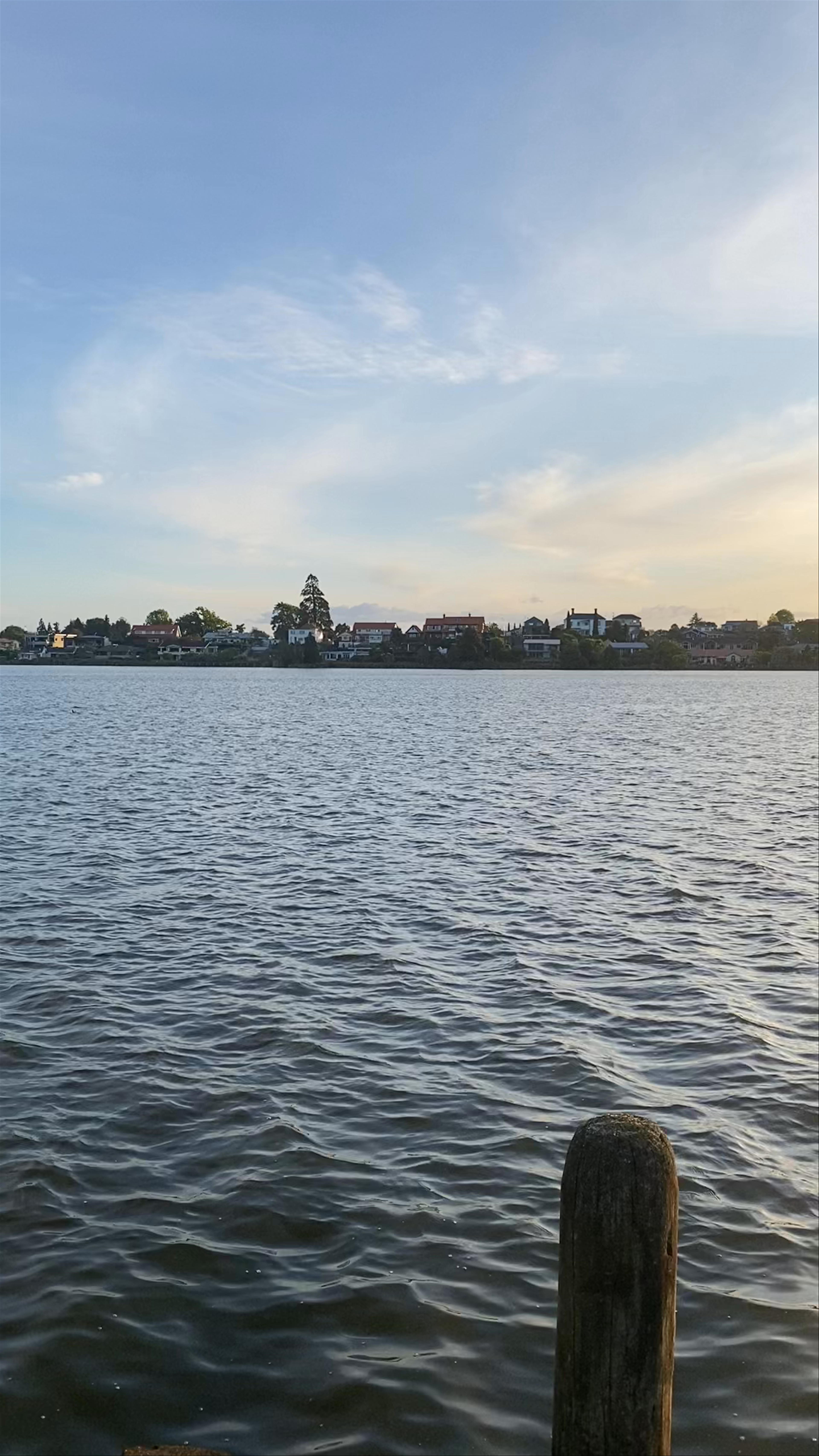 Lake Rotoroa at Sunset: Tranquil Waters in Hamilton, New Zealand