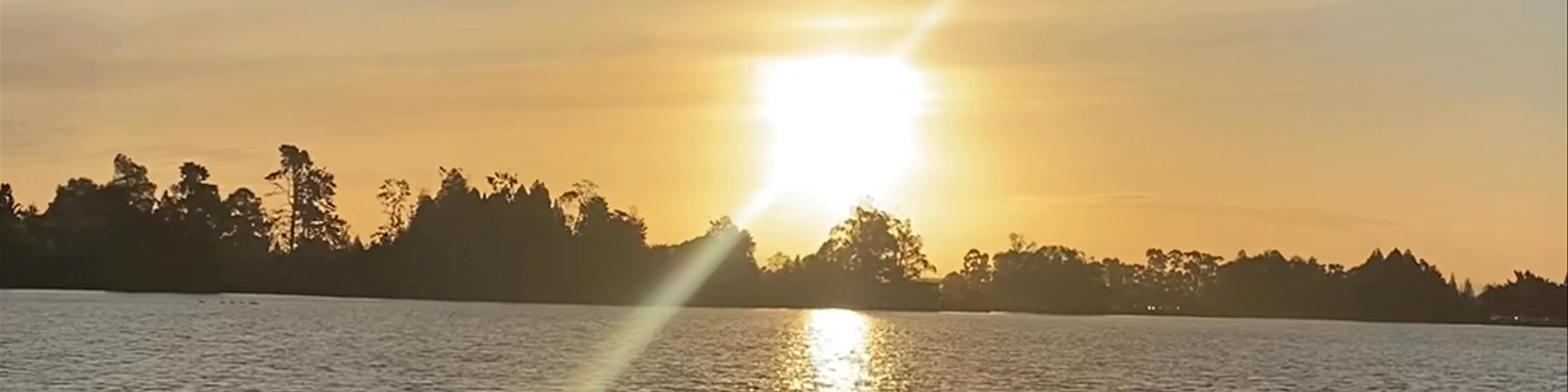 Lake Rotoroa