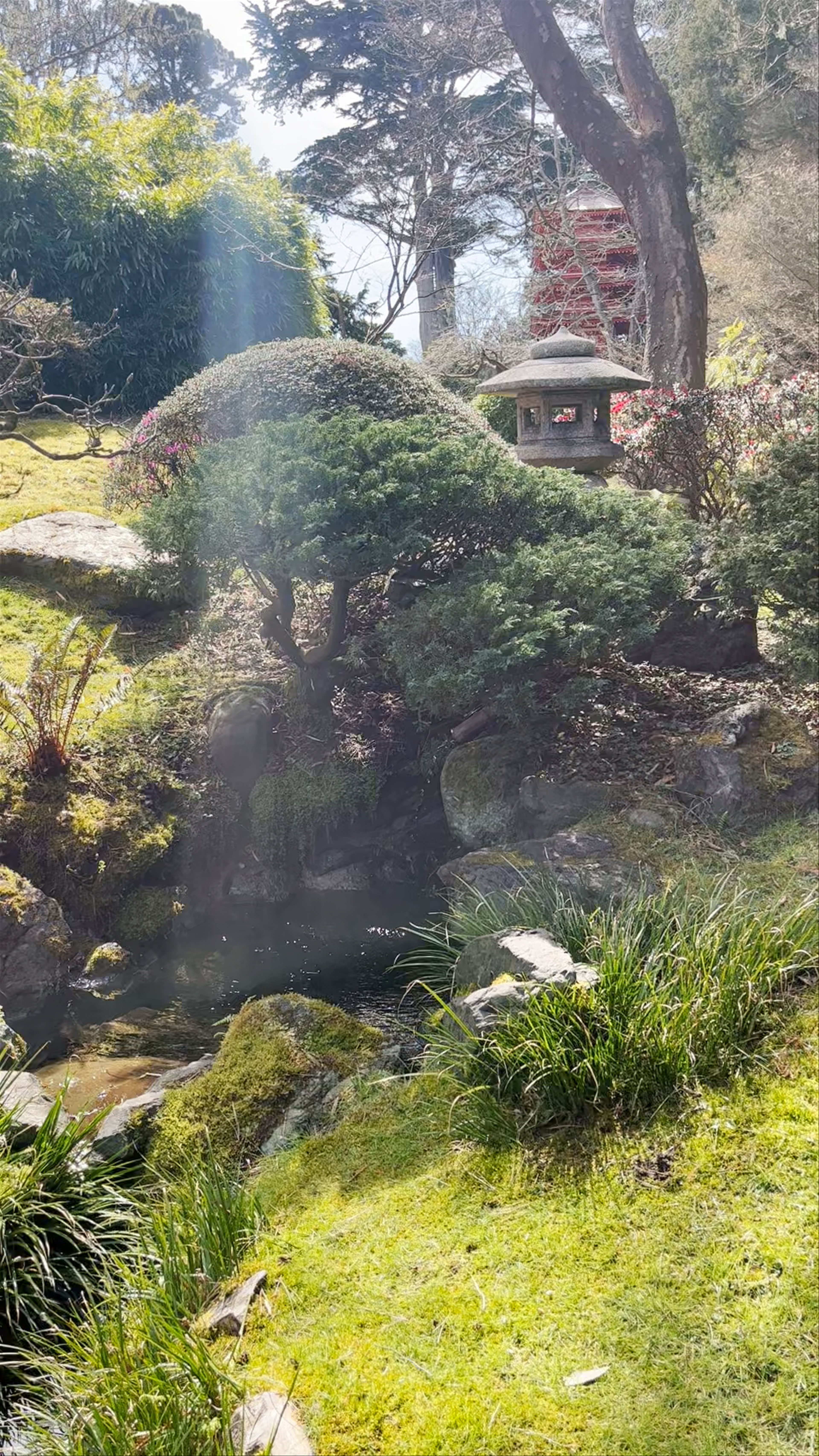 Jardín japonés Hagiwara de San Francisco