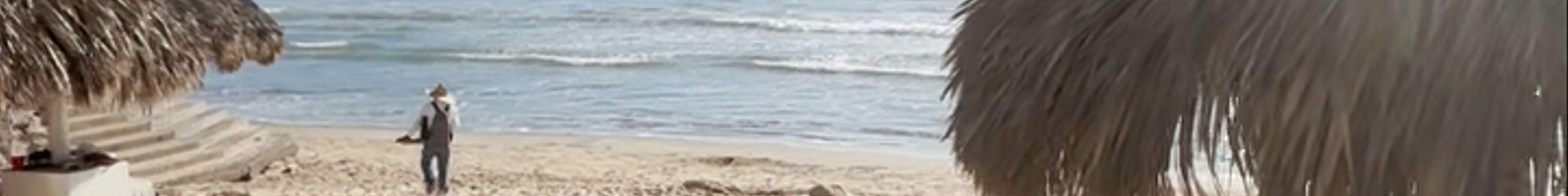 Tours & experiences in Mazatlán