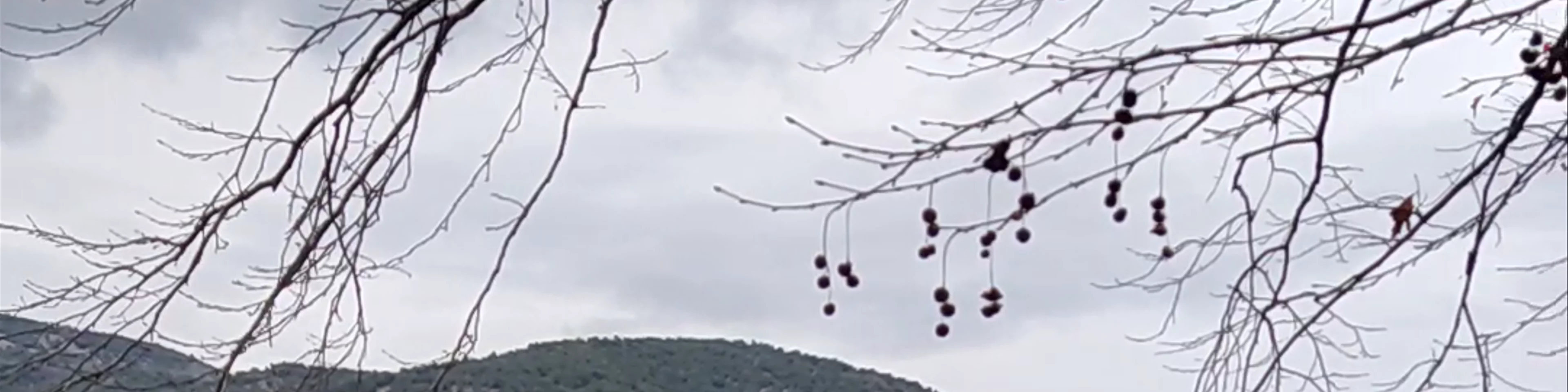Αλιάκμονας Ποταμός