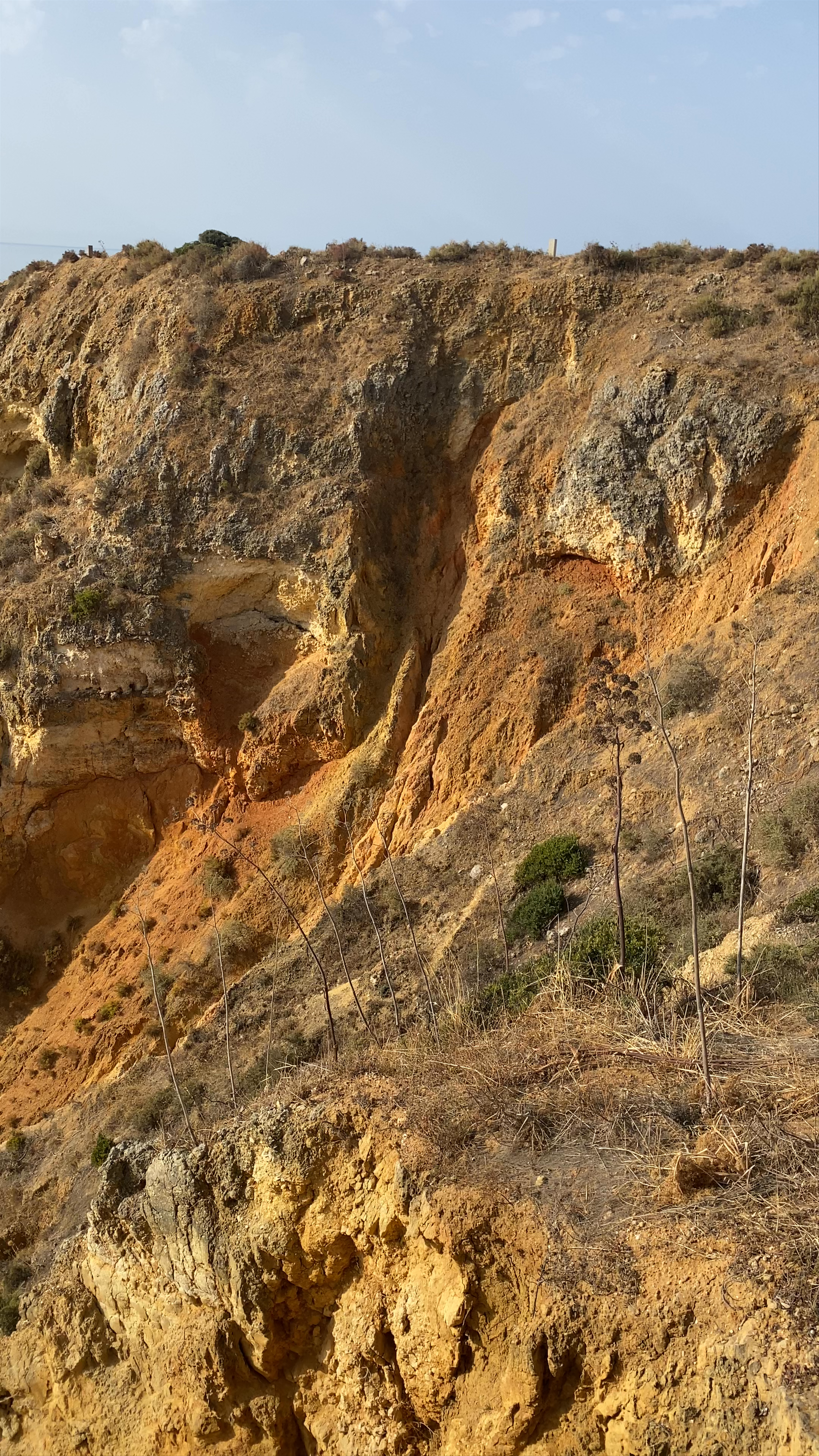 Ponta da Piedade
