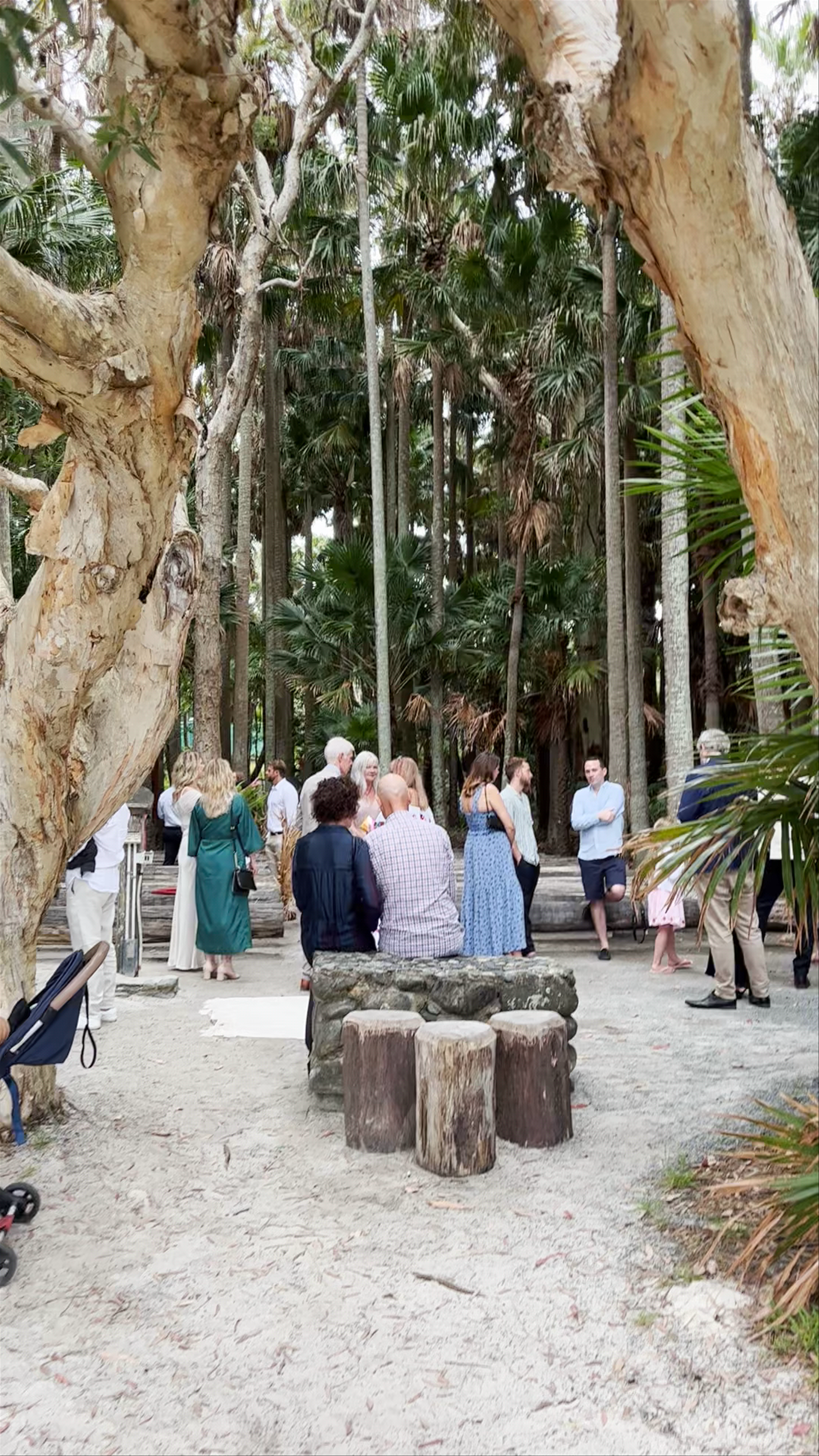 Green Cathedral: A Sacred Gathering in Booti Booti, NSW