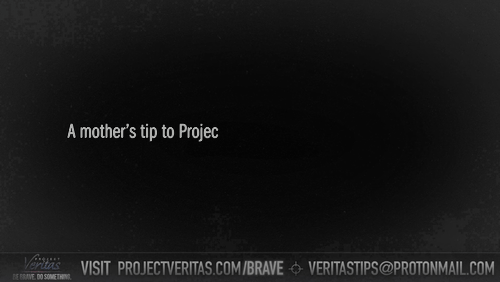 Video Thumbnail Loop