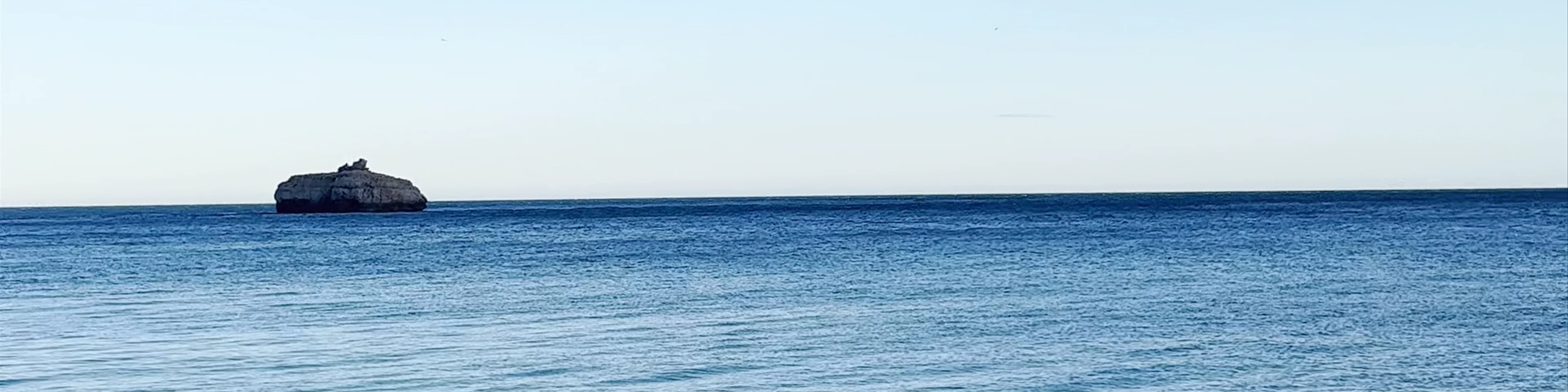 Cala del Portichol