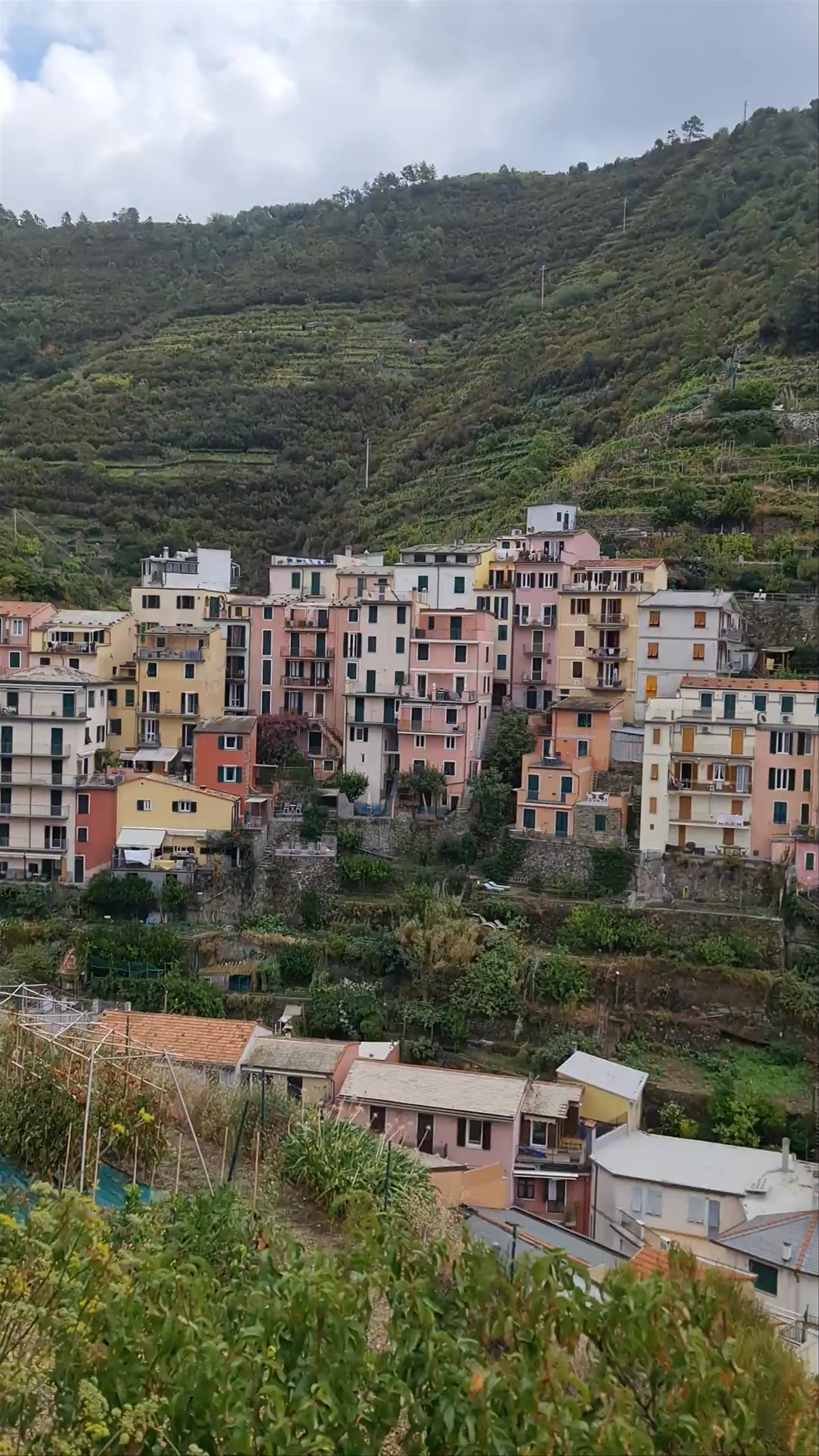 Cinque Terre Trekking: Discover the Colorful Charm of Manarola, Liguria