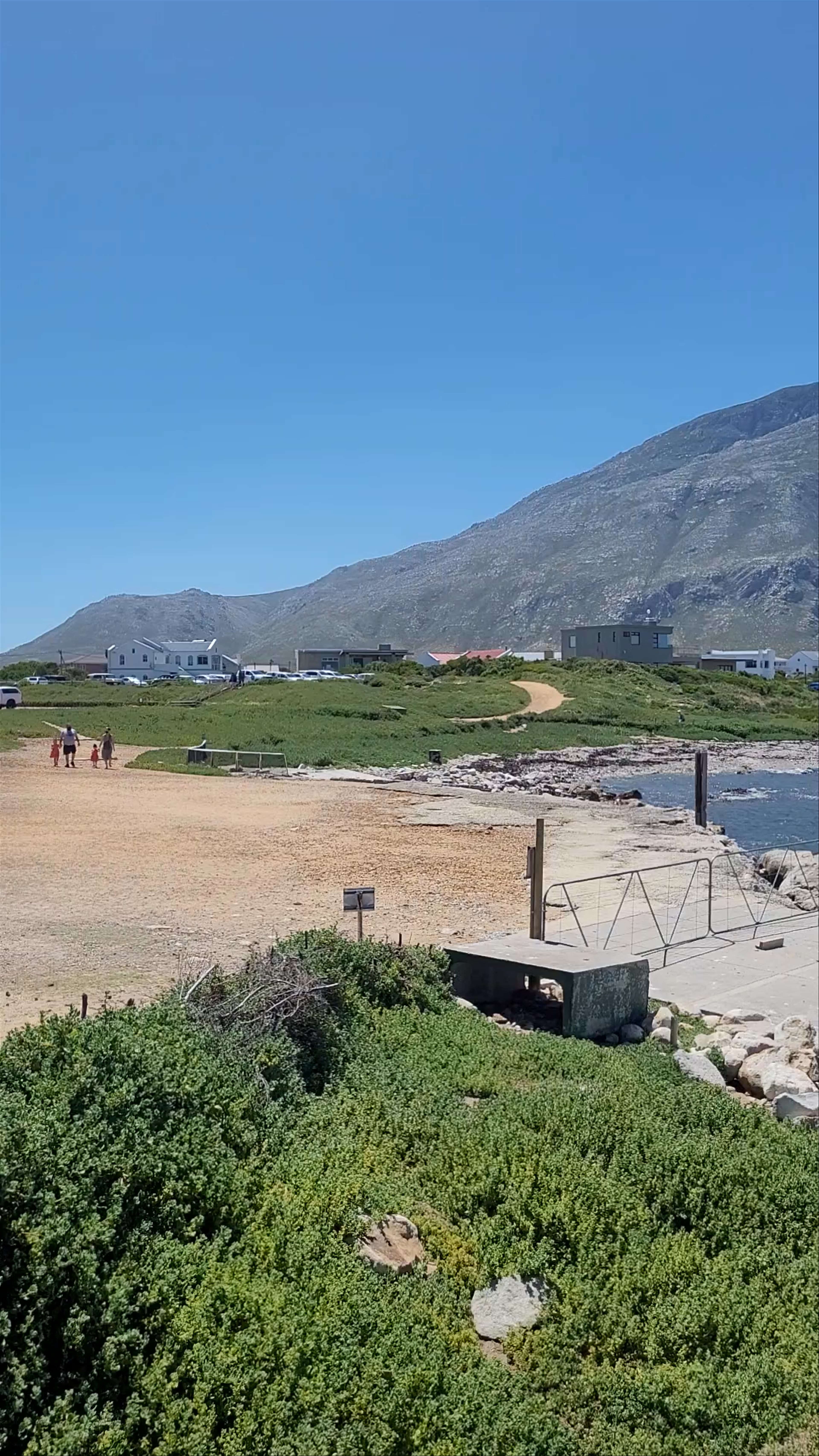 Stony Point Penguin Colony