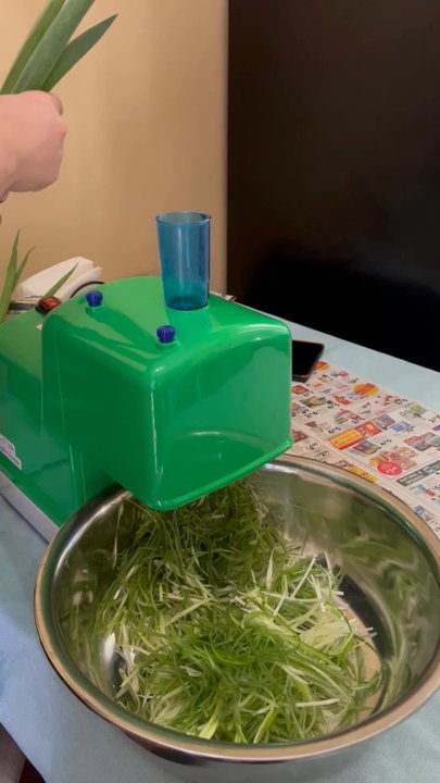 Kitchen Plus - Green onion slicer for green onion salad(pamuchim/pajeori) love it! - Restaurant Supplies Near Me - Los Angeles, California