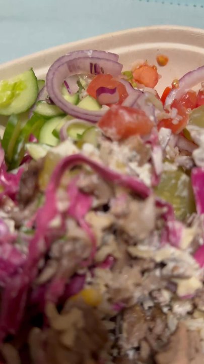 Haifa - Bug in my food! - Mediterranean Near Me - Orland Park, Illinois